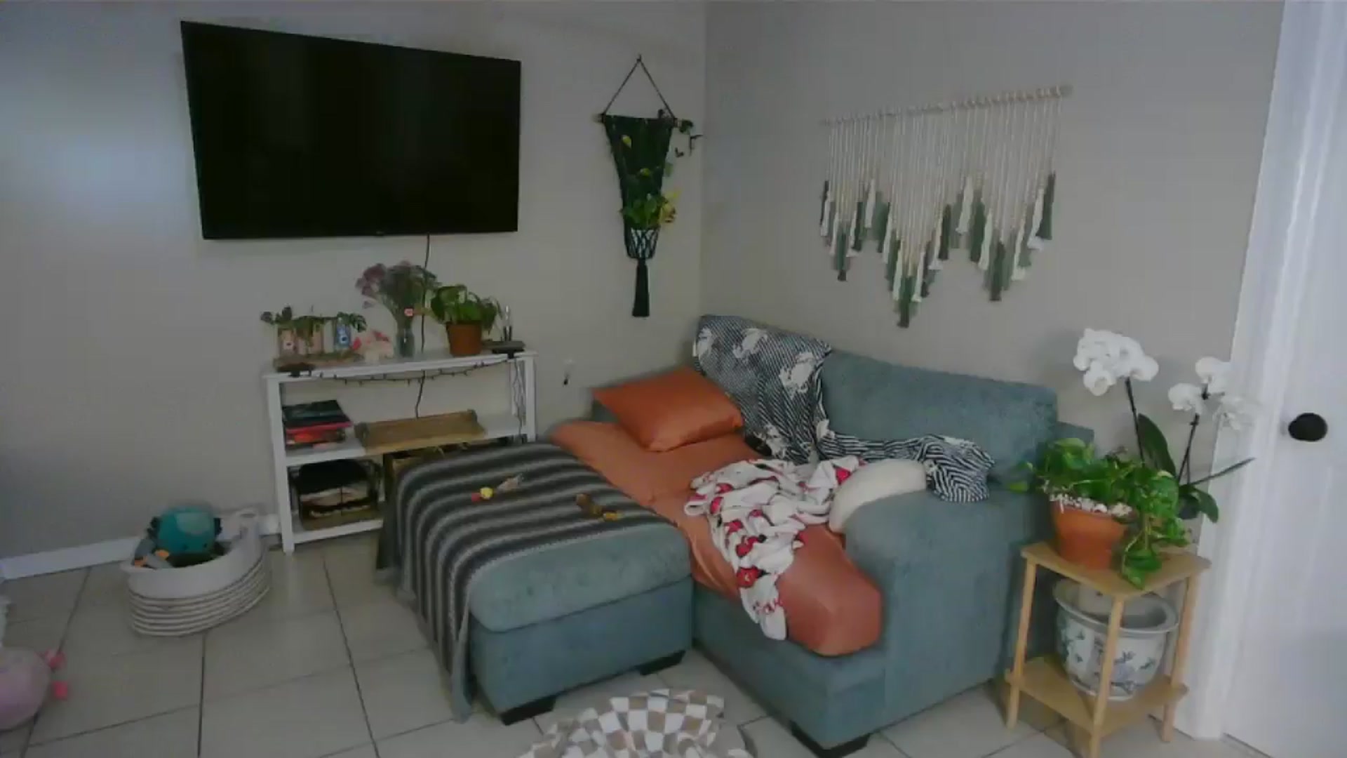 Gallery image thumbnail from Bambz's myfreecams stream on, 02/03/2026, 15:18 image 7 of 20
