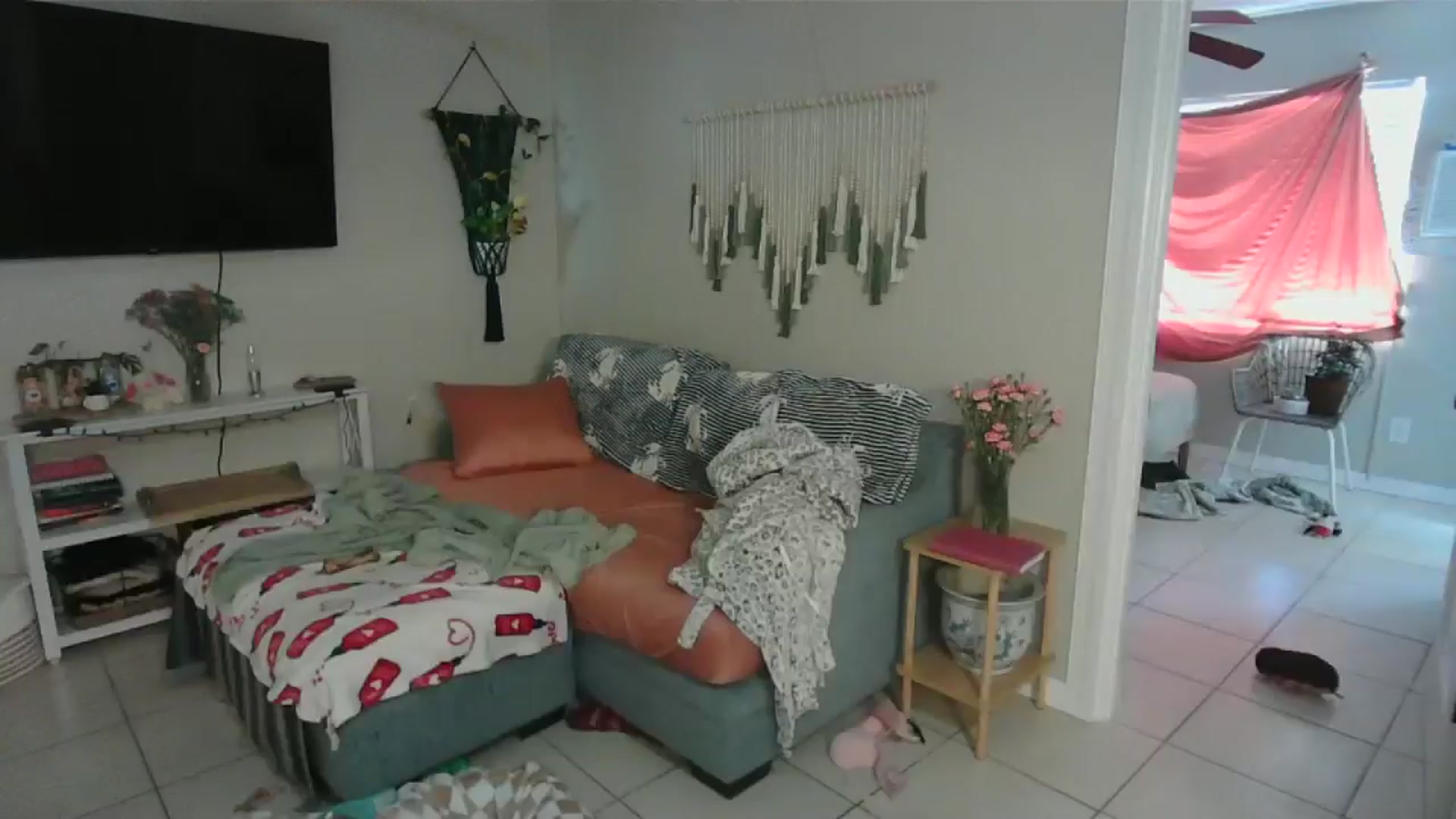 Gallery image thumbnail from Bambz's myfreecams stream on, 02/05/2026, 18:03 image 3 of 20