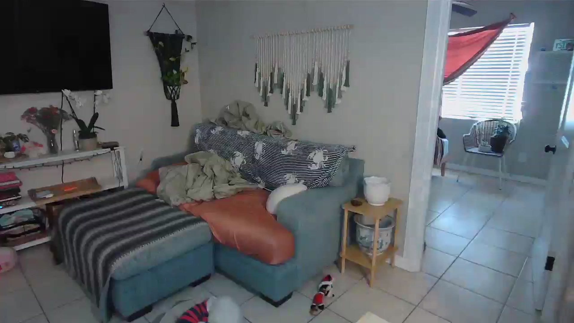 Gallery image thumbnail from Bambz's myfreecams stream on, 02/07/2026, 16:39 image 2 of 20