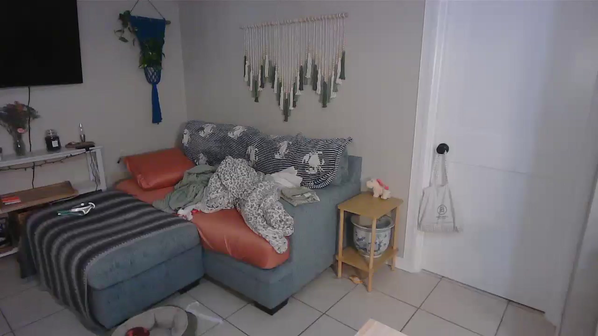Gallery image thumbnail from Bambz's myfreecams stream on, 02/09/2026, 17:06 image 10 of 20