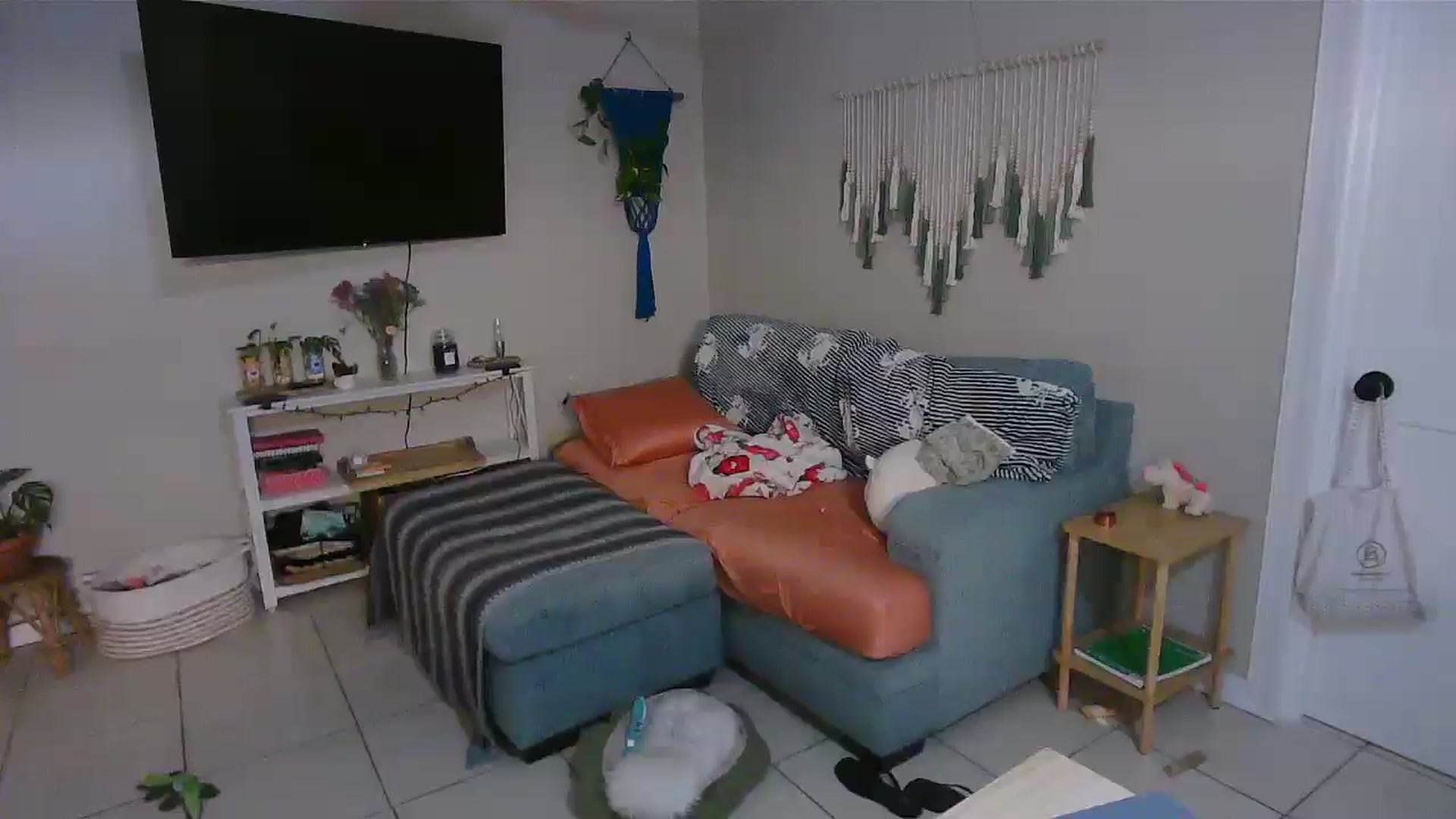 Gallery image thumbnail from Bambz's myfreecams stream on, 02/10/2026, 13:58 image 15 of 20