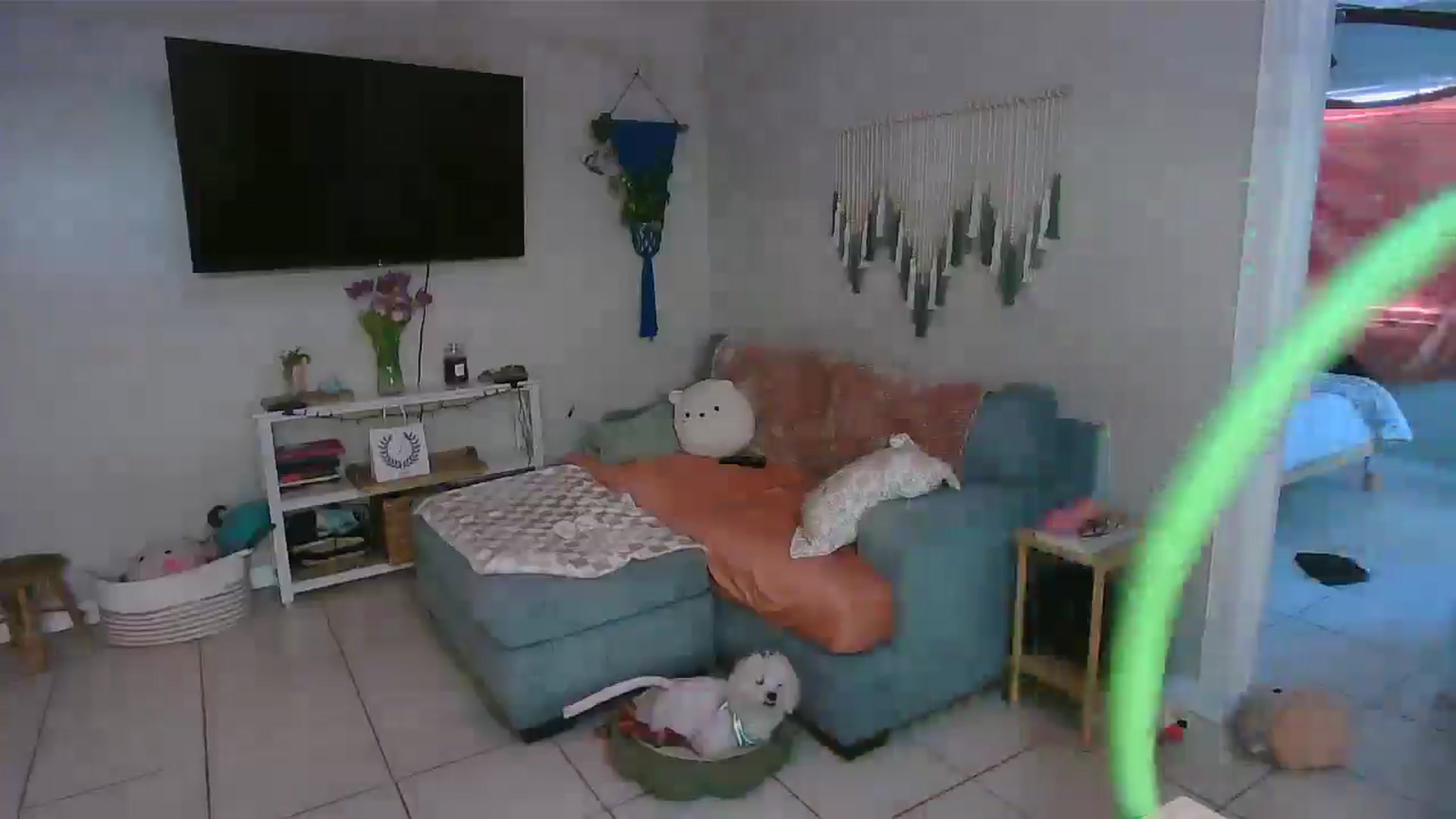 Gallery image thumbnail from Bambz's myfreecams stream on, 02/17/2026, 13:50 image 16 of 20