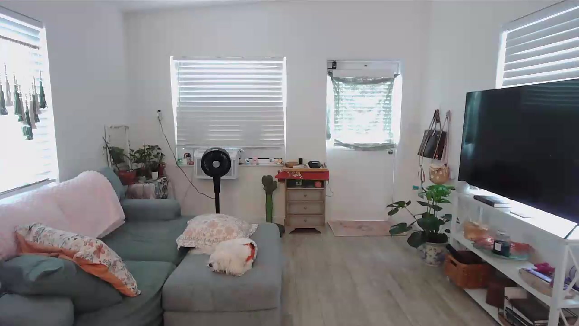 Gallery image thumbnail from Bambz's myfreecams stream on, 06/04/2026, 17:51 image 7 of 20