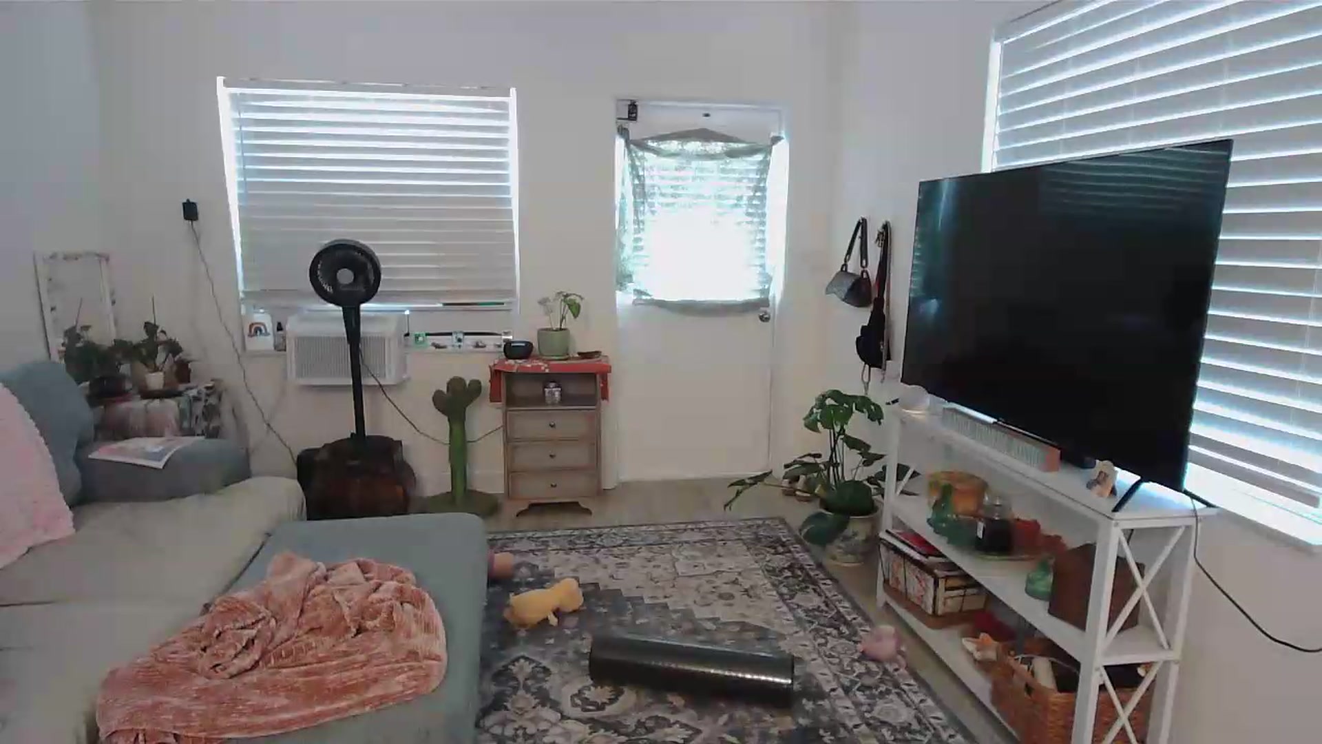 Gallery image thumbnail from Bambz's myfreecams stream on, 07/21/2026, 16:45 image 12 of 20