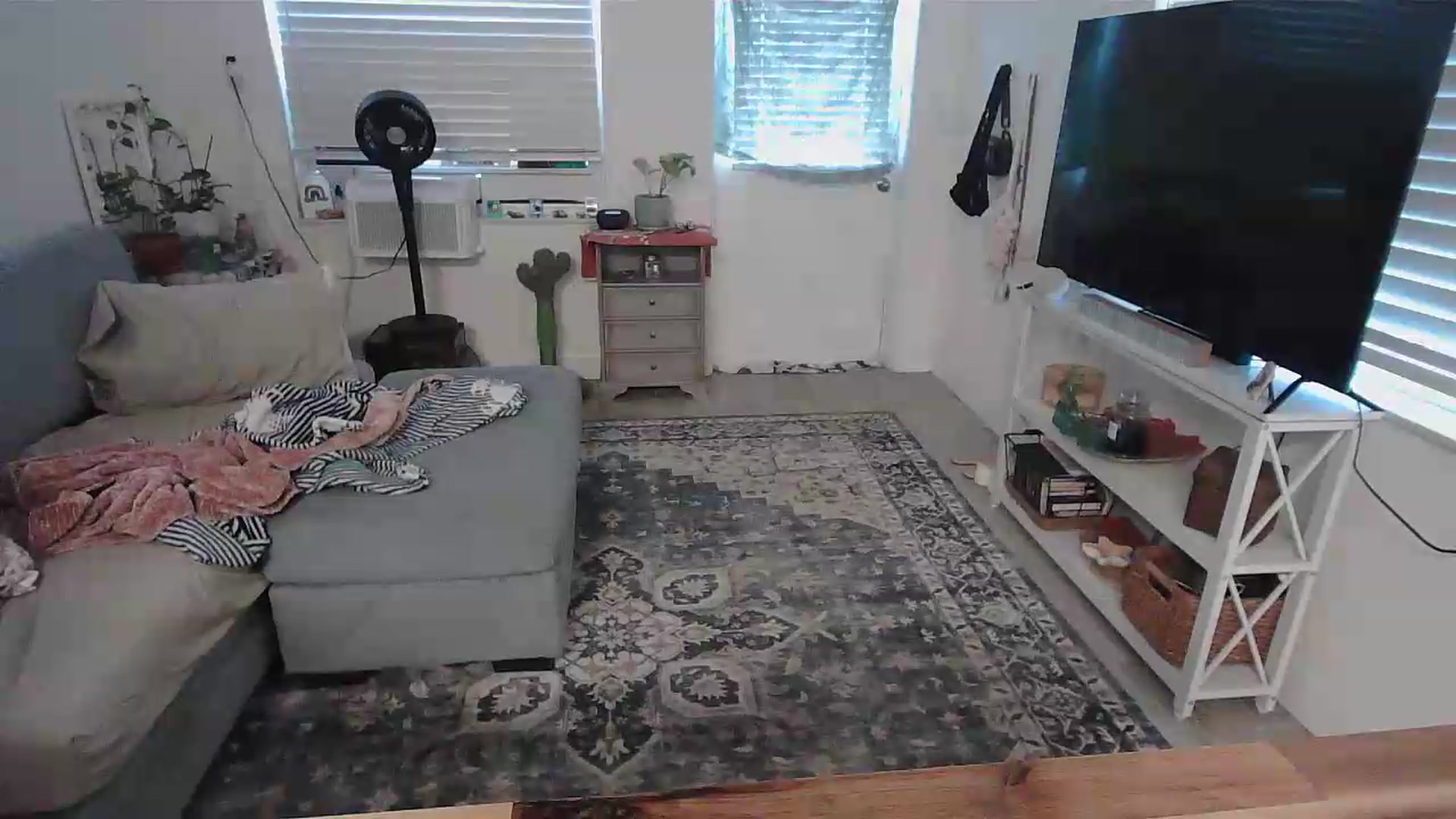 Gallery image thumbnail from Bambz's myfreecams stream on, 08/05/2026, 23:20 image 4 of 20