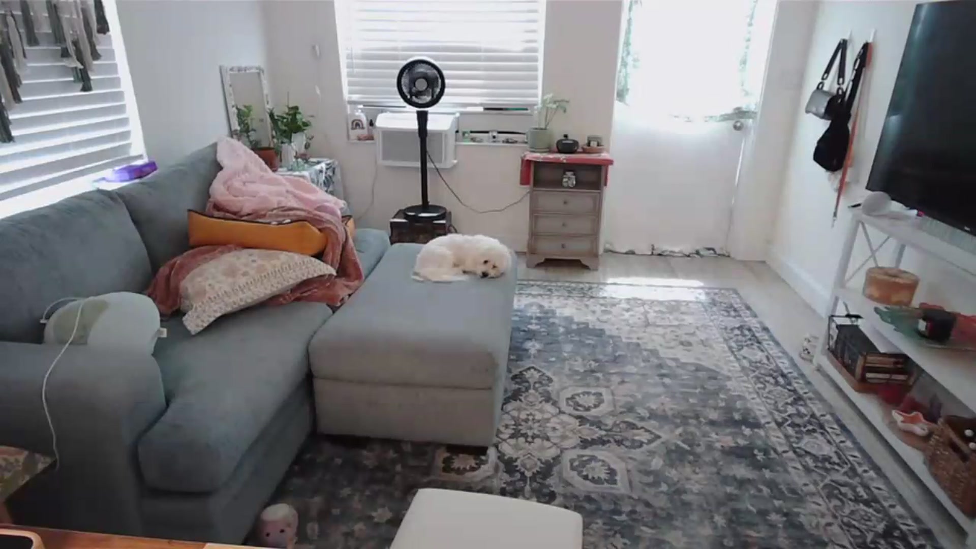 Gallery image thumbnail from Bambz's myfreecams stream on, 08/24/2026, 19:19 image 17 of 20