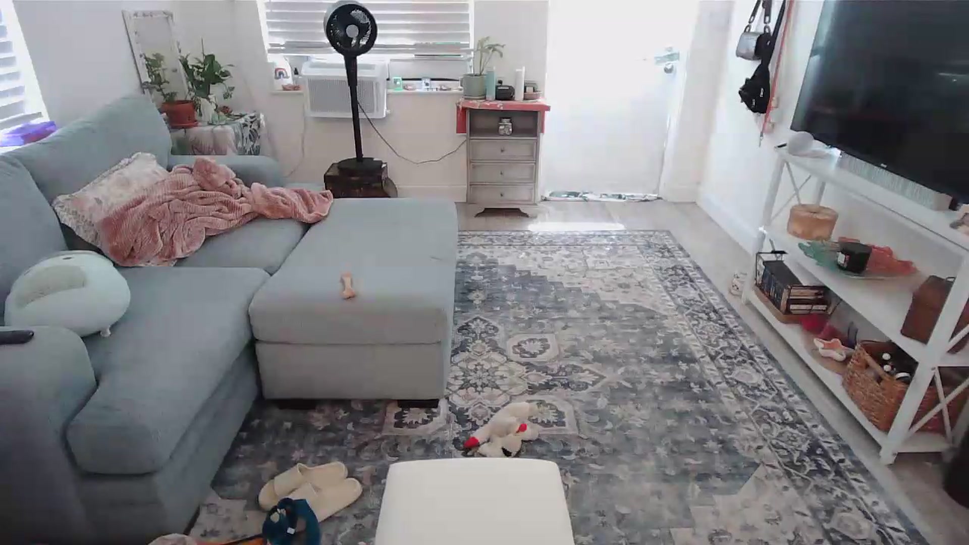 Gallery image thumbnail from Bambz's myfreecams stream on, 08/25/2026, 19:54 image 8 of 20