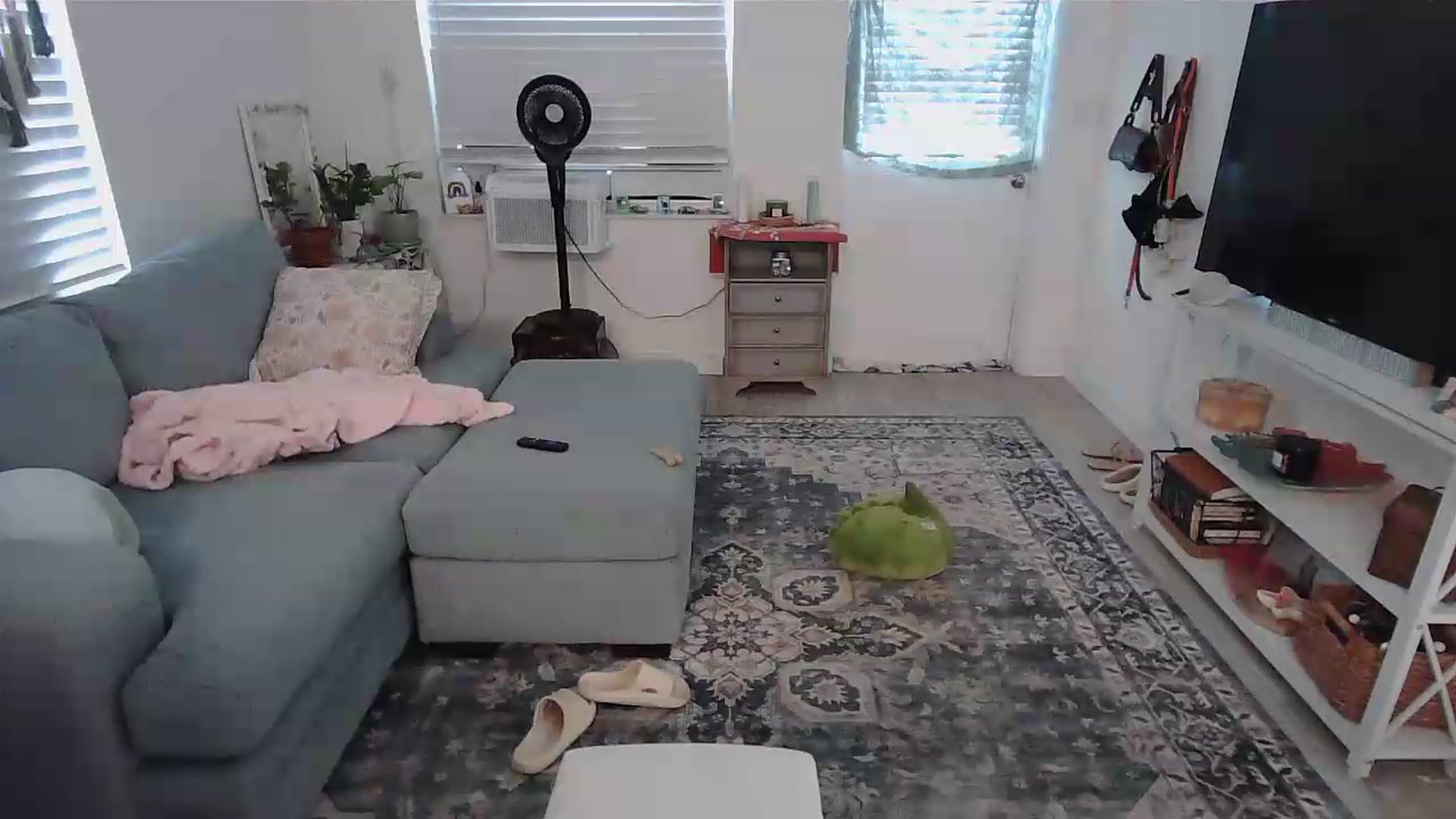 Gallery image thumbnail from Bambz's myfreecams stream on, 08/28/2026, 15:20 image 20 of 20