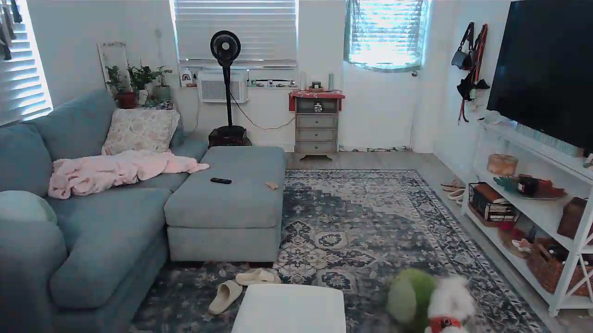 Gallery image thumbnail from Bambz's myfreecams stream on, 08/28/2026, 15:20 image 5 of 20