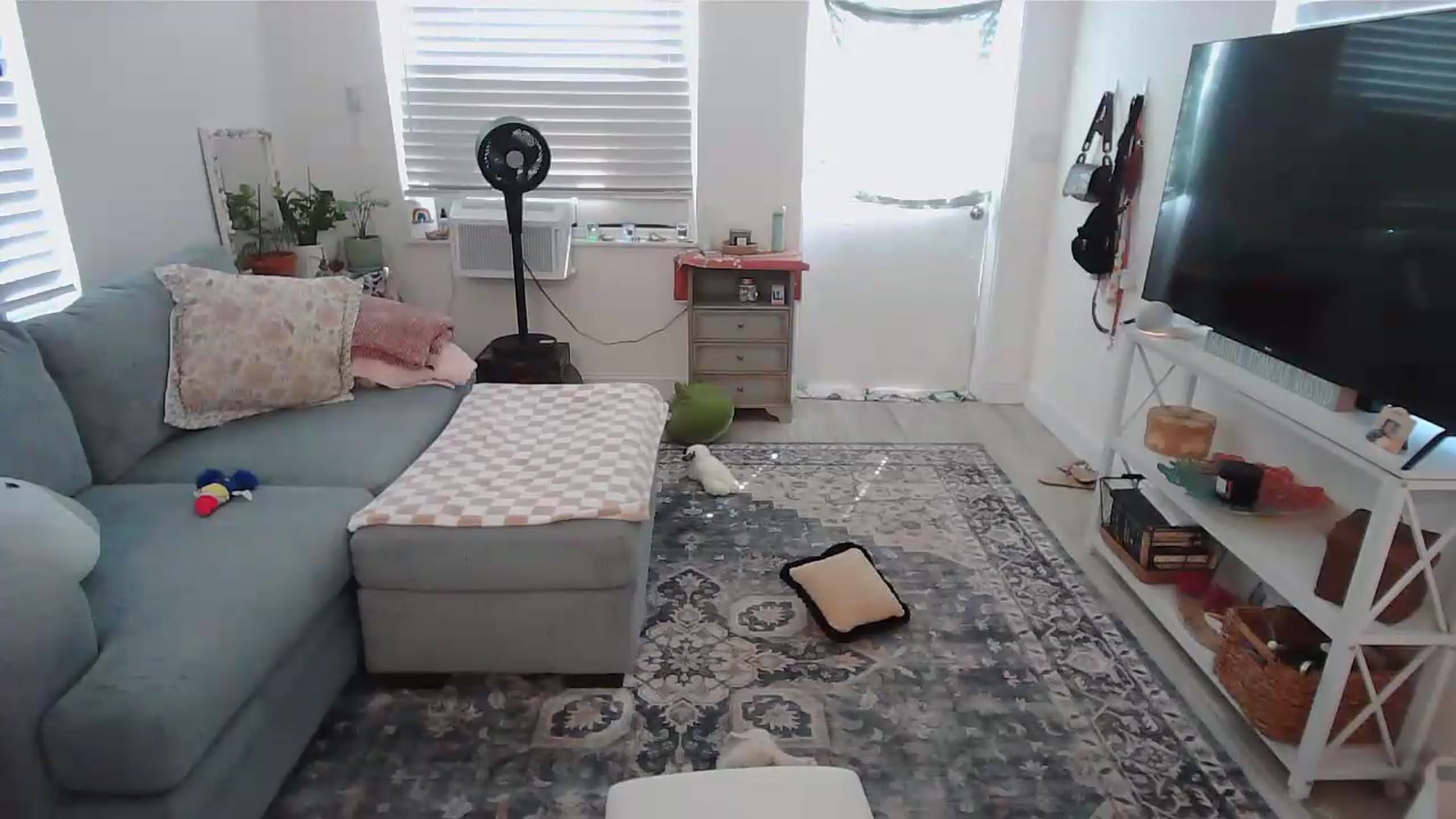 Gallery image thumbnail from Bambz's myfreecams stream on, 09/01/2026, 20:10 image 12 of 20