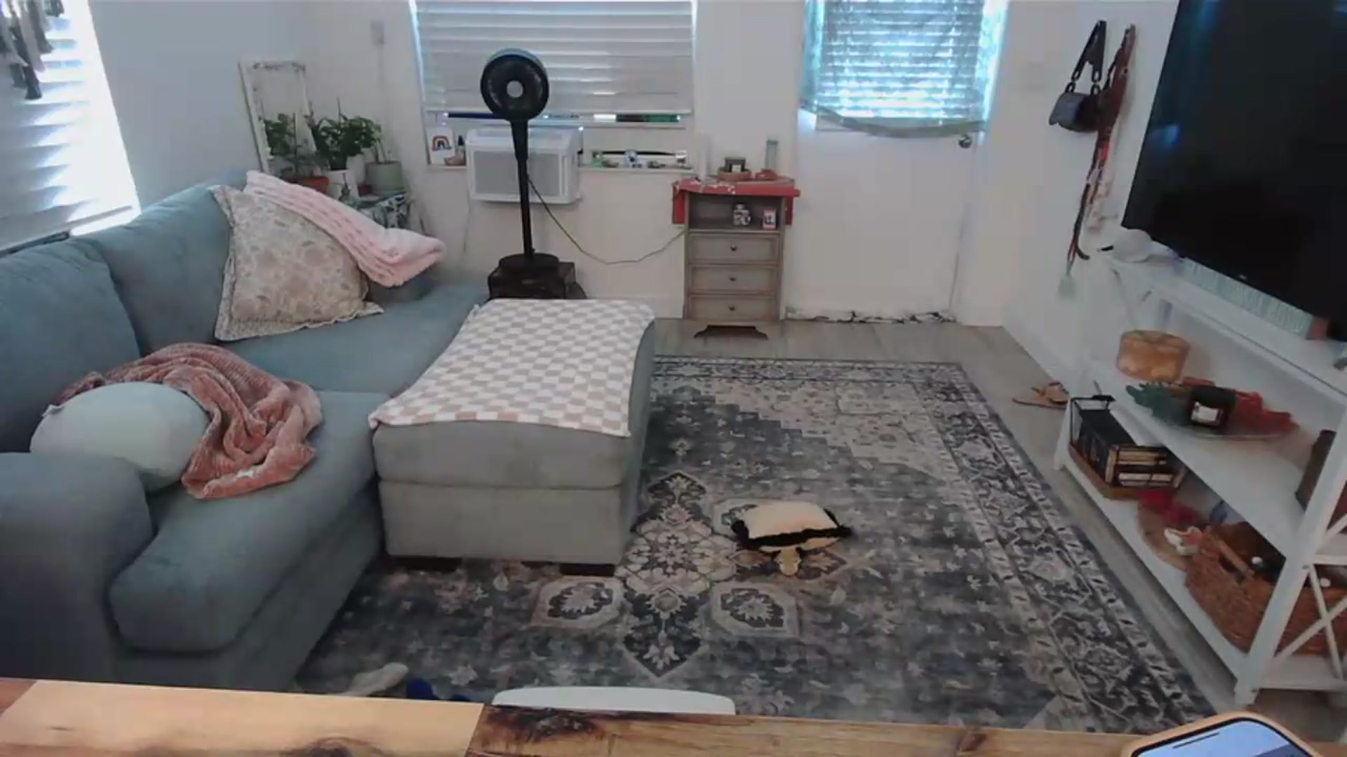 Gallery image thumbnail from Bambz's myfreecams stream on, 09/02/2026, 14:00 image 12 of 20