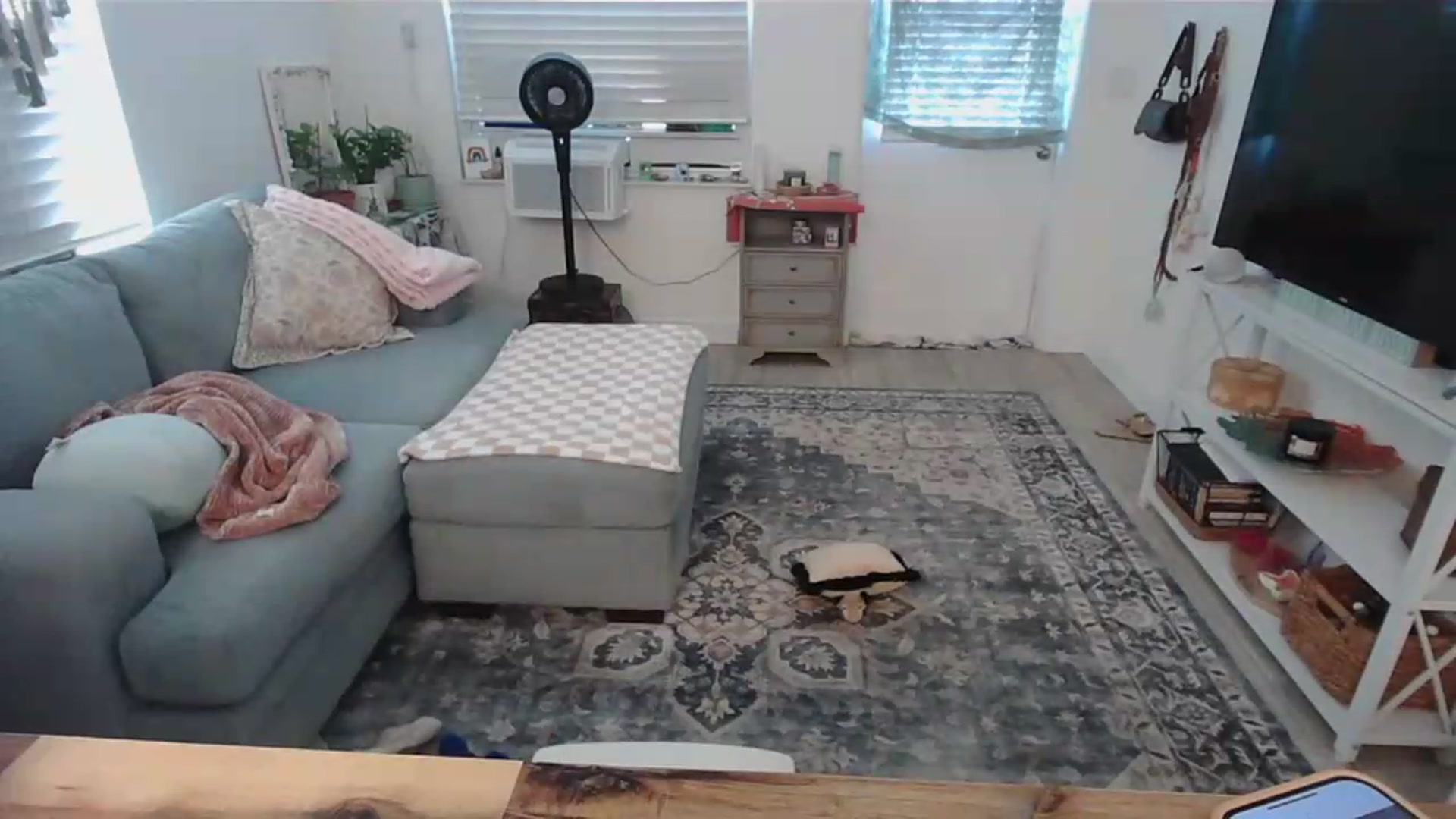 Gallery image thumbnail from Bambz's myfreecams stream on, 09/02/2026, 14:00 image 9 of 20