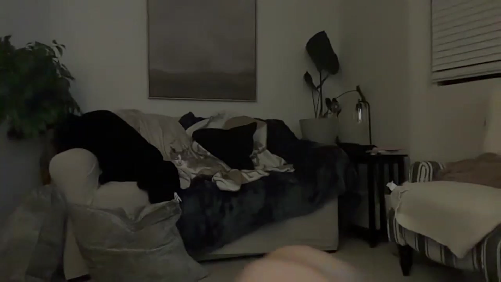 Gallery image thumbnail from BarbieBenson_xo's myfreecams stream on, 06/19/2026, 08:48 image 11 of 20