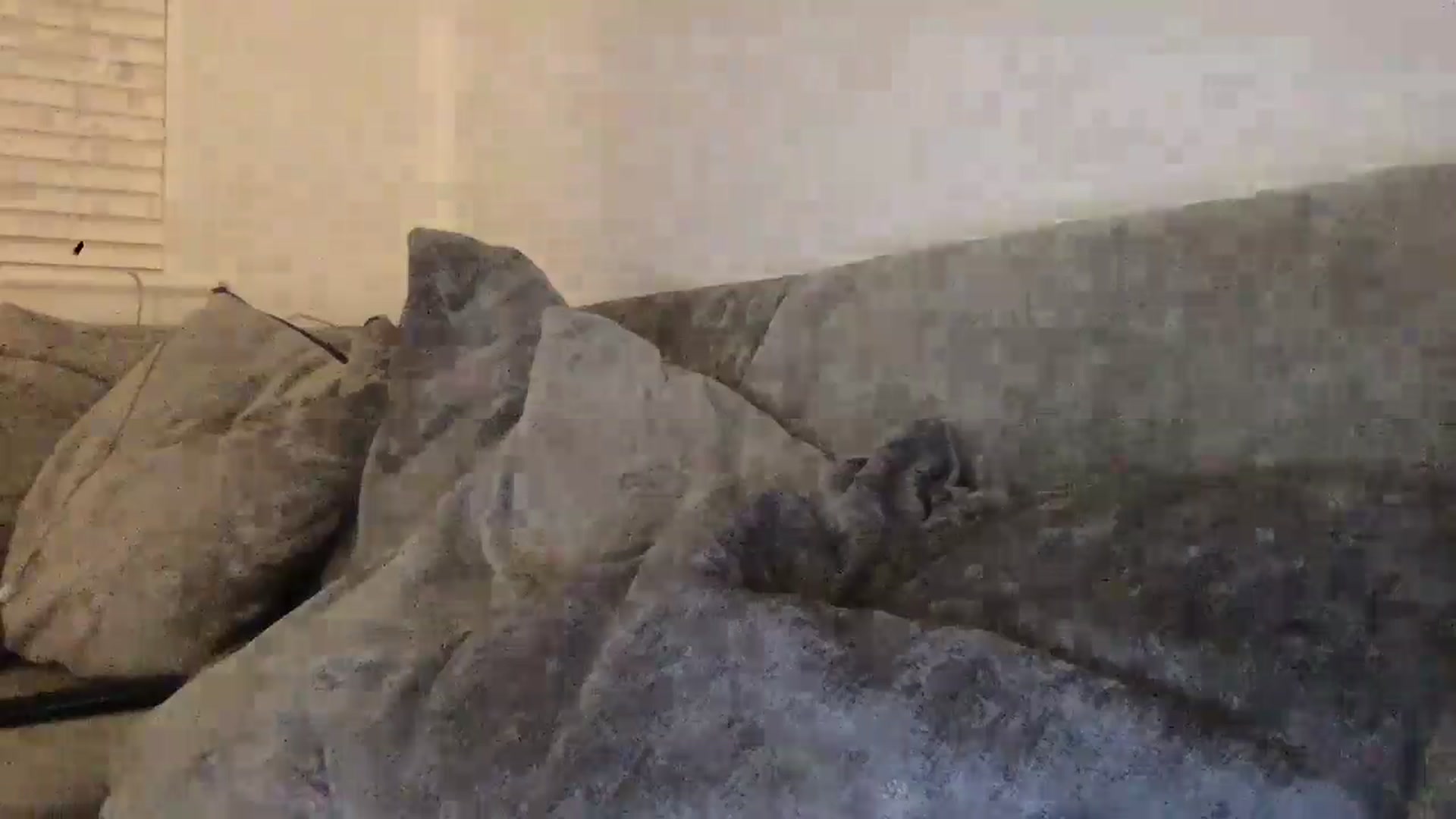 Gallery image thumbnail from Barbxie's myfreecams stream on, 02/13/2026, 21:55 image 11 of 20
