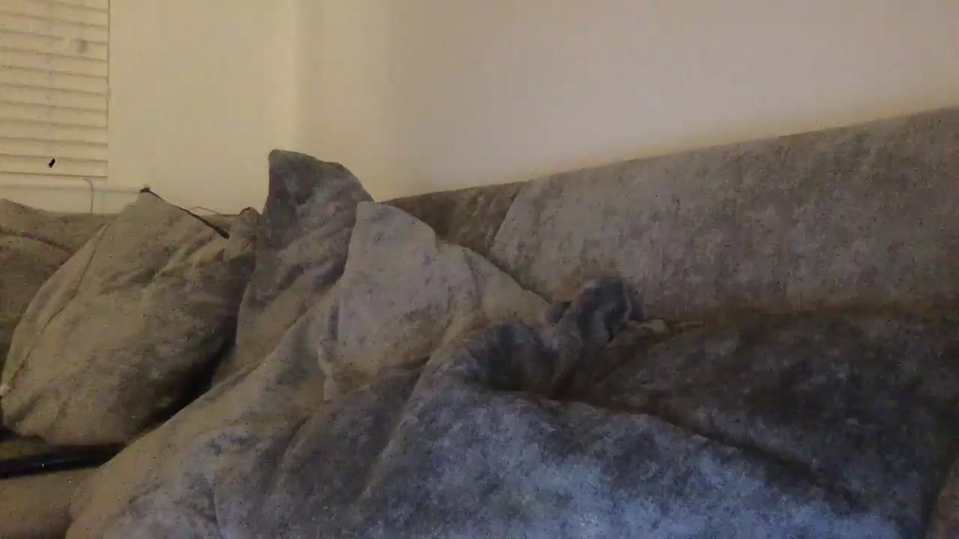 Gallery image thumbnail from Barbxie's myfreecams stream on, 02/13/2026, 21:55 image 10 of 20