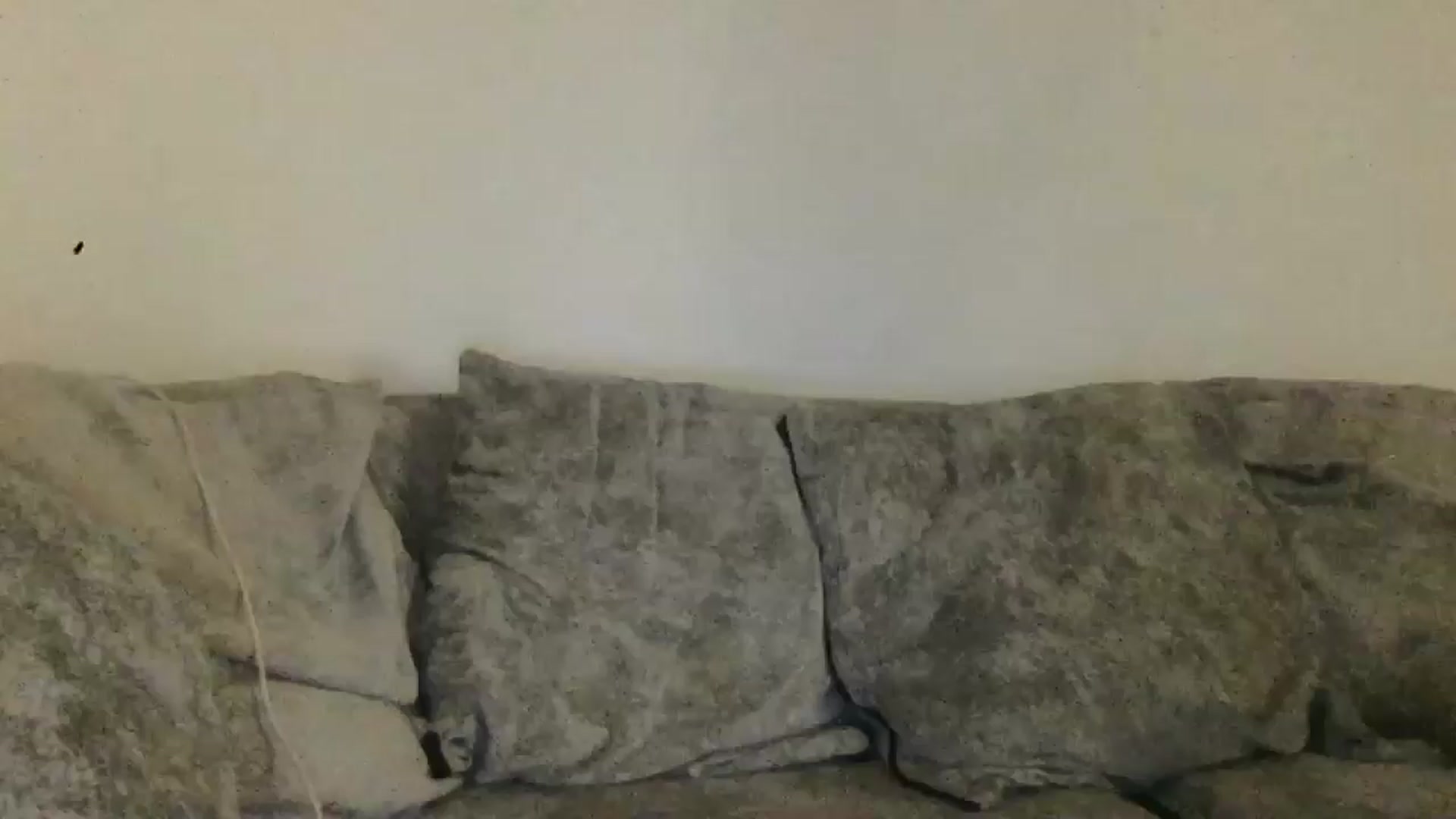 Gallery image thumbnail from Barbxie's myfreecams stream on, 02/26/2026, 24:01 image 1 of 20