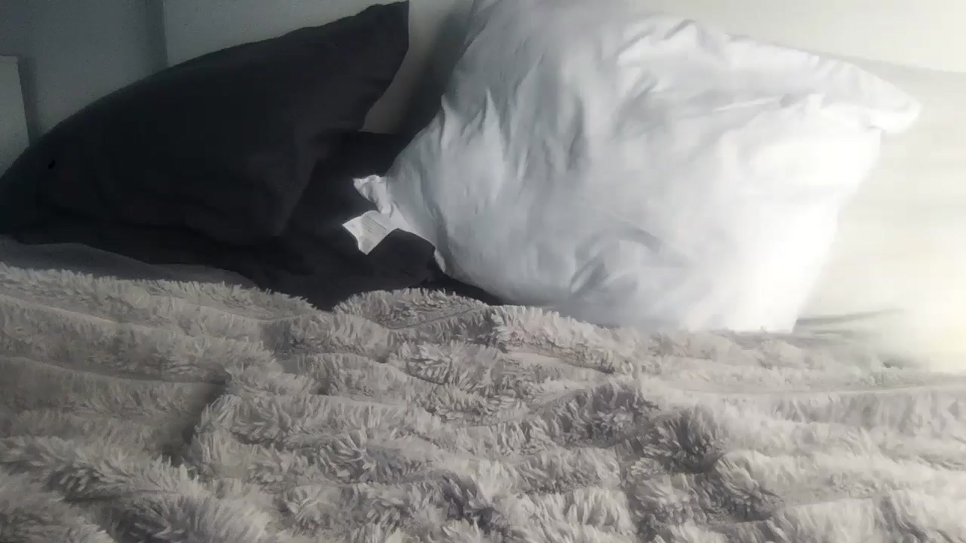 Gallery image thumbnail from Barbxie's myfreecams stream on, 02/26/2026, 17:36 image 8 of 20