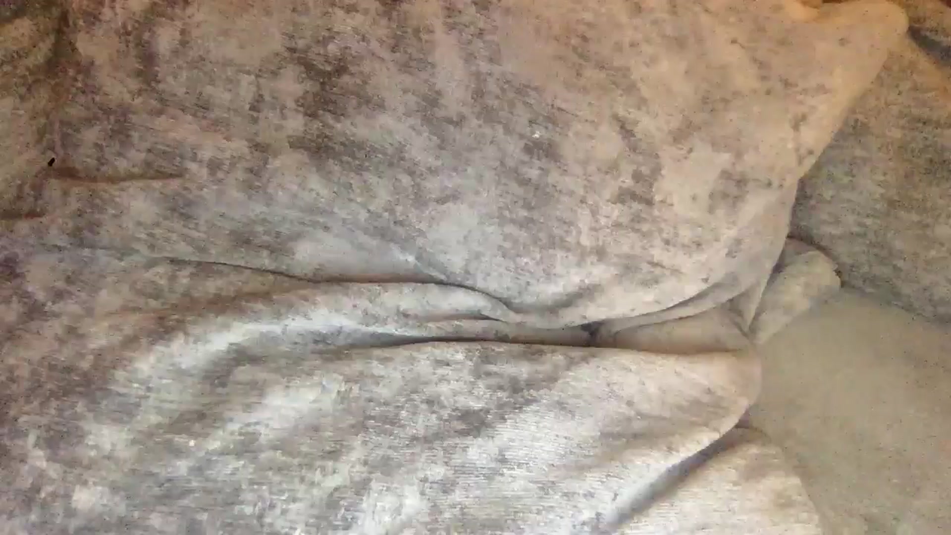 Gallery image thumbnail from Barbxie's myfreecams stream on, 03/08/2026, 23:19 image 13 of 20