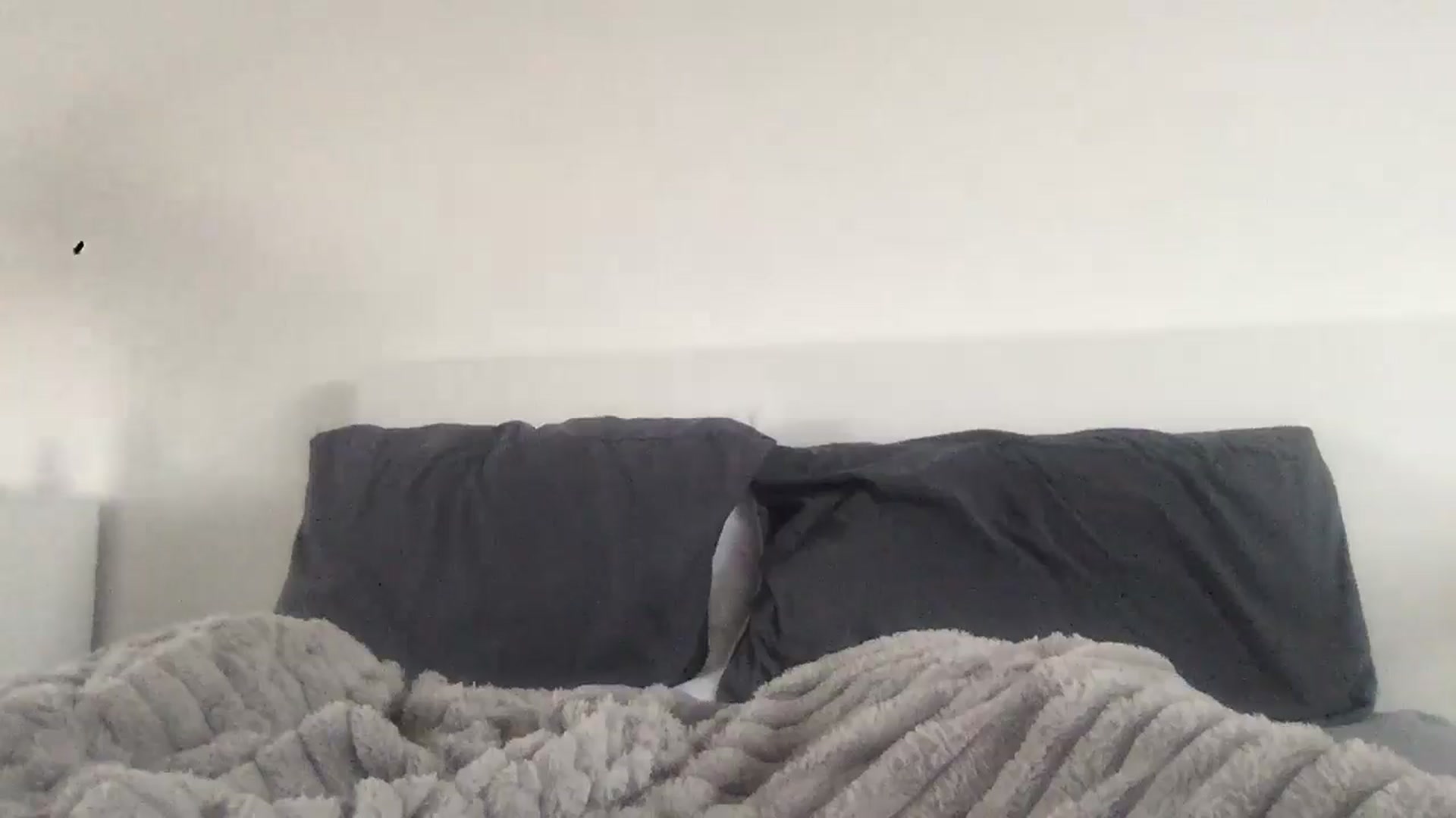 Gallery image thumbnail from Barbxie's myfreecams stream on, 03/22/2026, 16:33 image 16 of 20