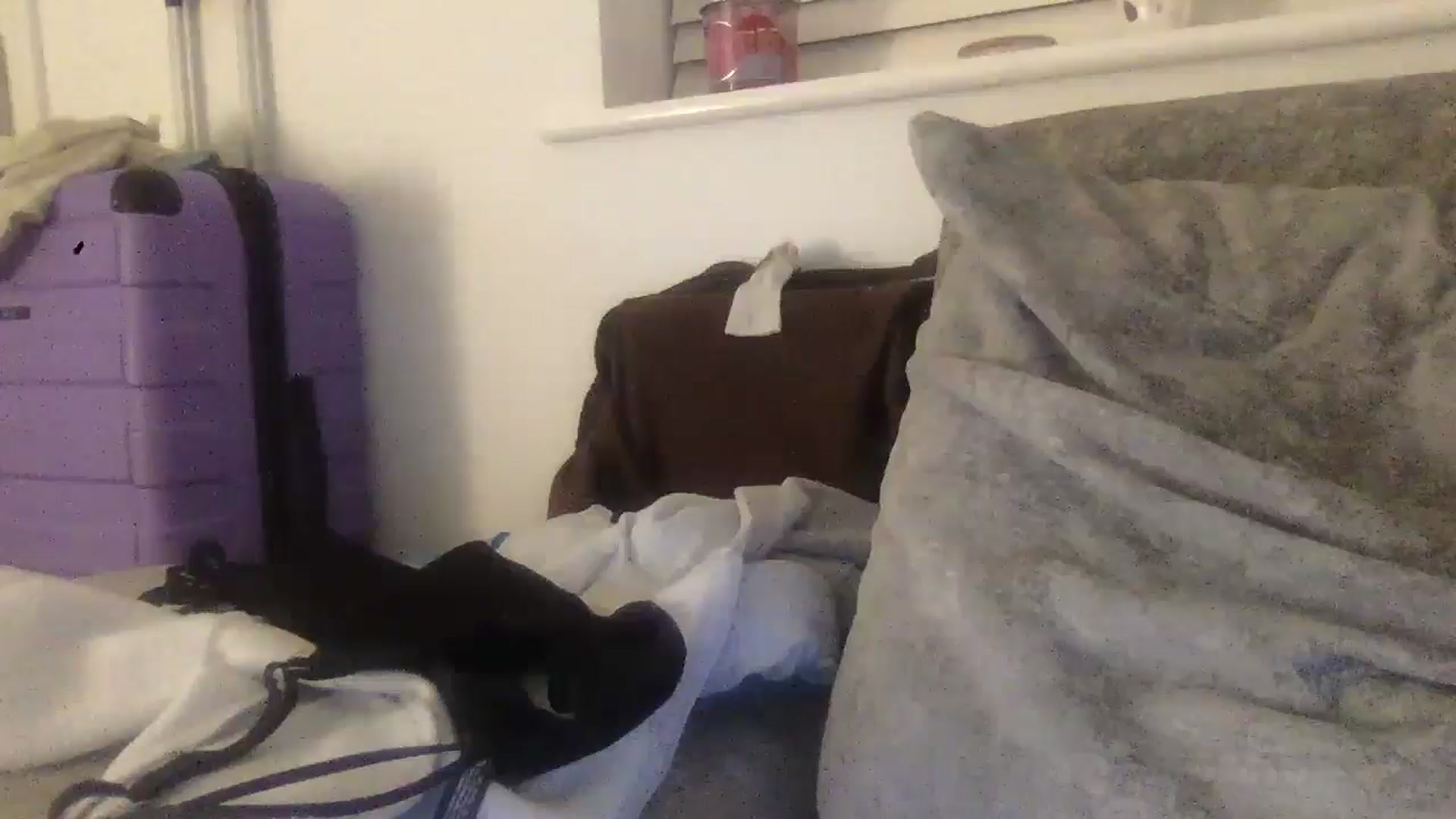 Gallery image thumbnail from Barbxie's myfreecams stream on, 03/23/2026, 23:08 image 3 of 20