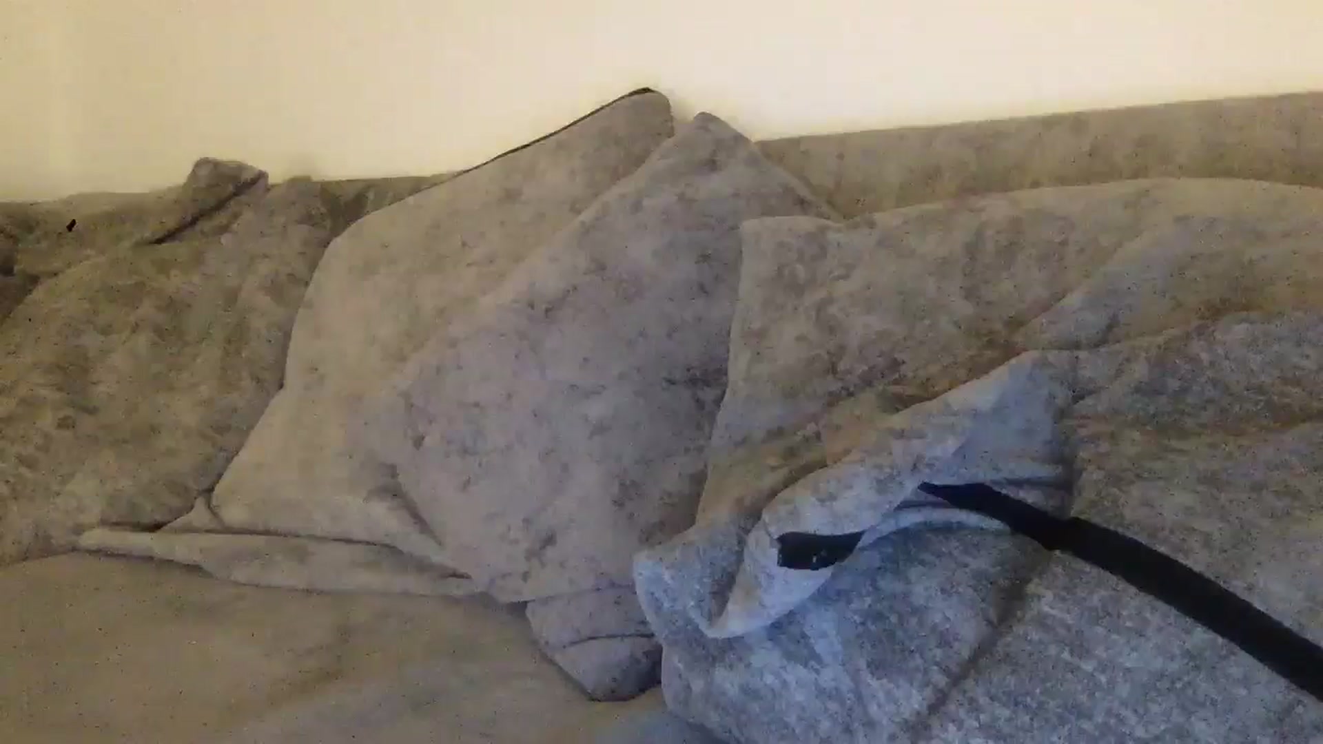 Gallery image thumbnail from Barbxie's myfreecams stream on, 03/25/2026, 24:37 image 2 of 20