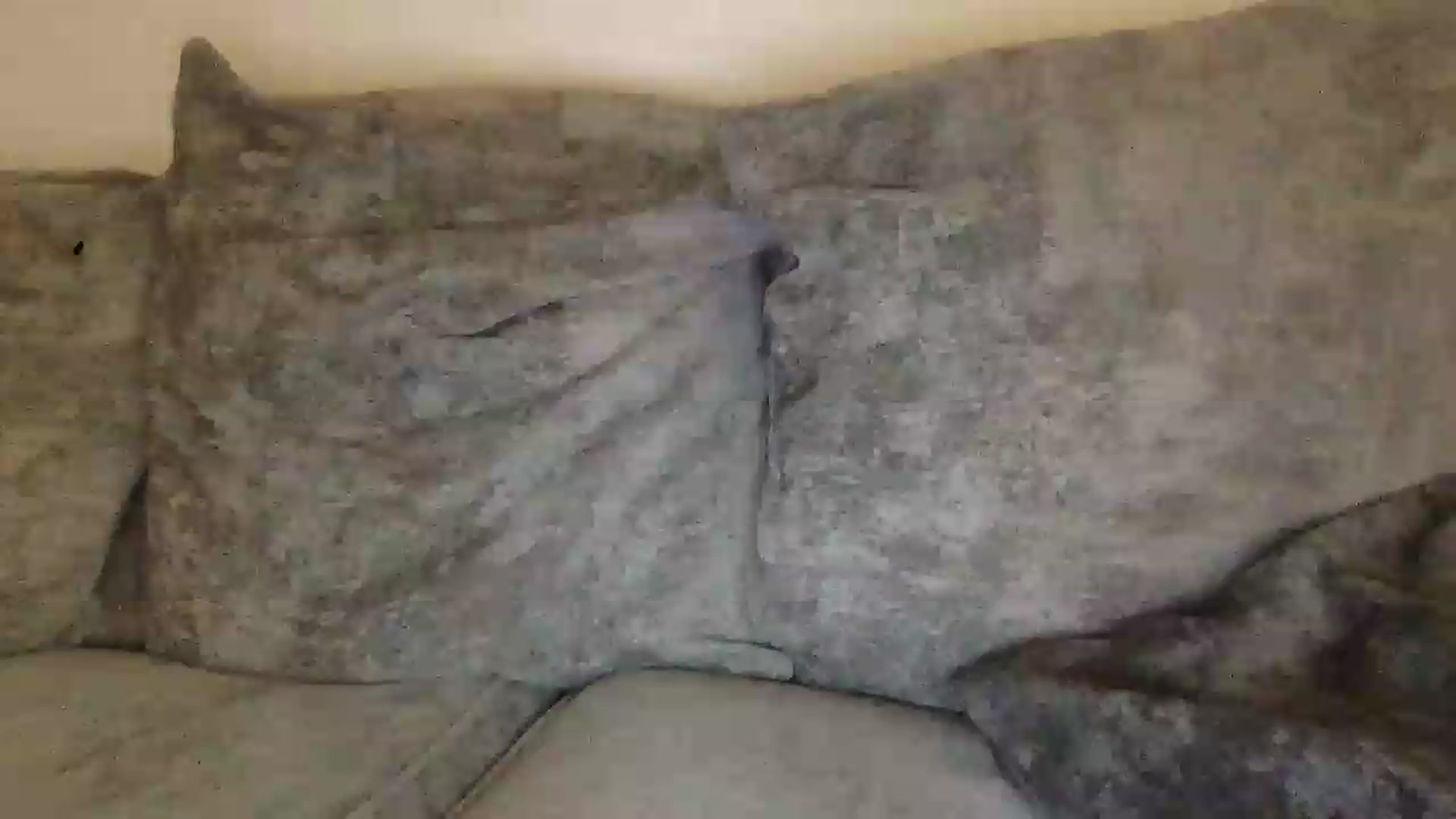 Gallery image thumbnail from Barbxie's myfreecams stream on, 05/13/2026, 23:32 image 17 of 20