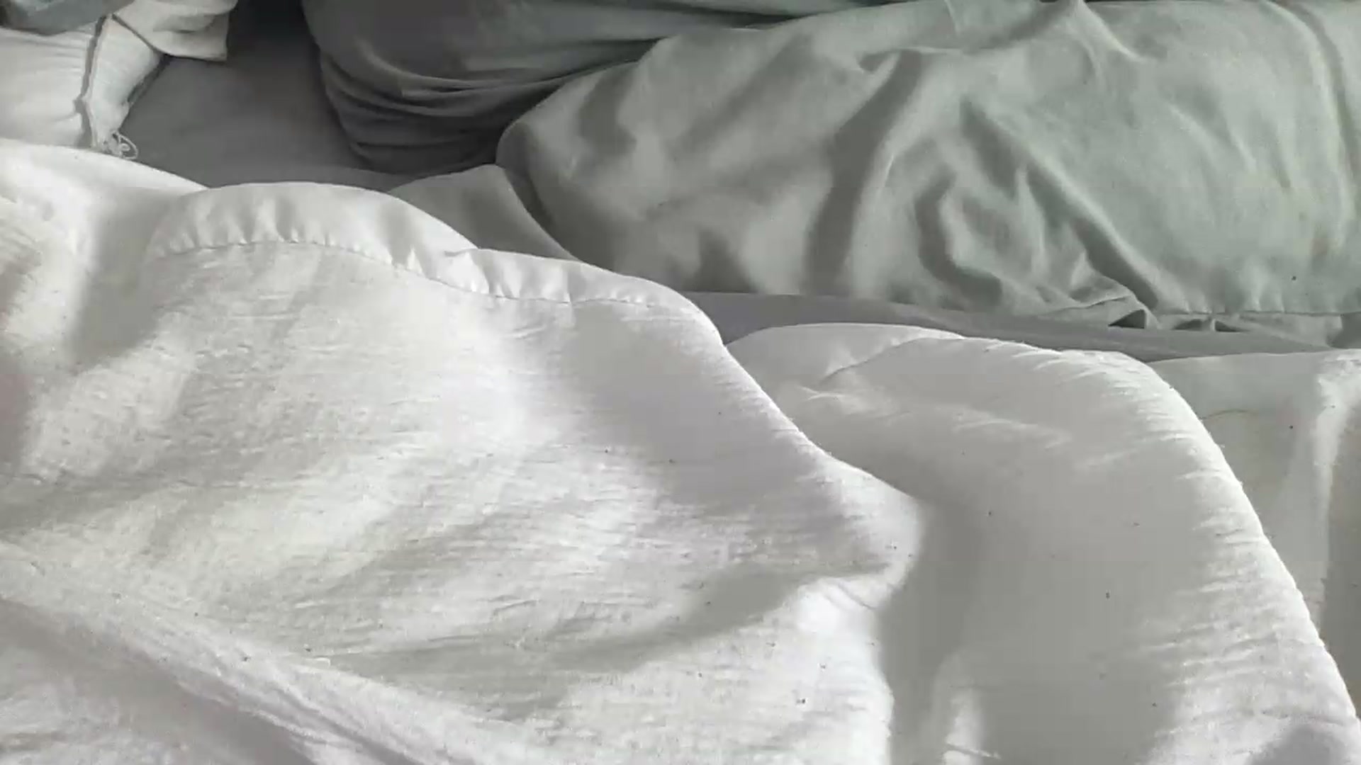 Gallery image thumbnail from Barbxie's myfreecams stream on, 08/19/2026, 14:36 image 13 of 20