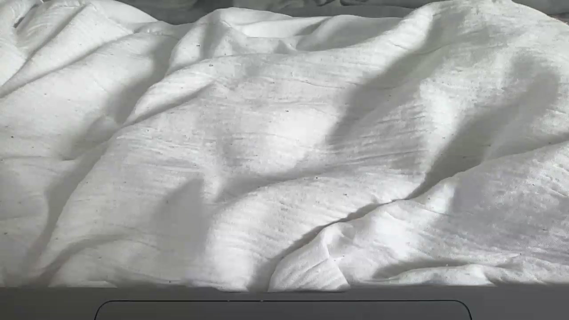 Gallery image thumbnail from Barbxie's myfreecams stream on, 08/19/2026, 14:36 image 16 of 20