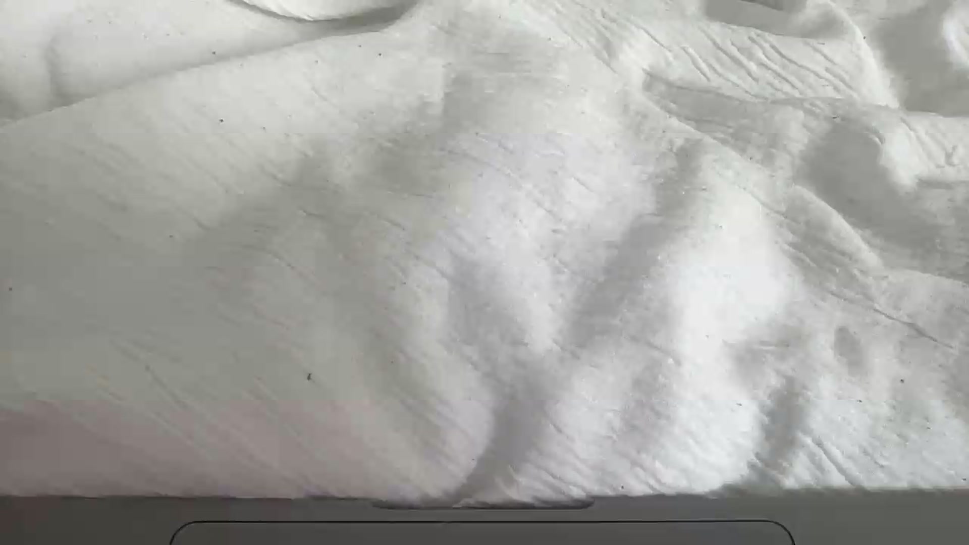 Gallery image thumbnail from Barbxie's myfreecams stream on, 08/19/2026, 14:36 image 11 of 20