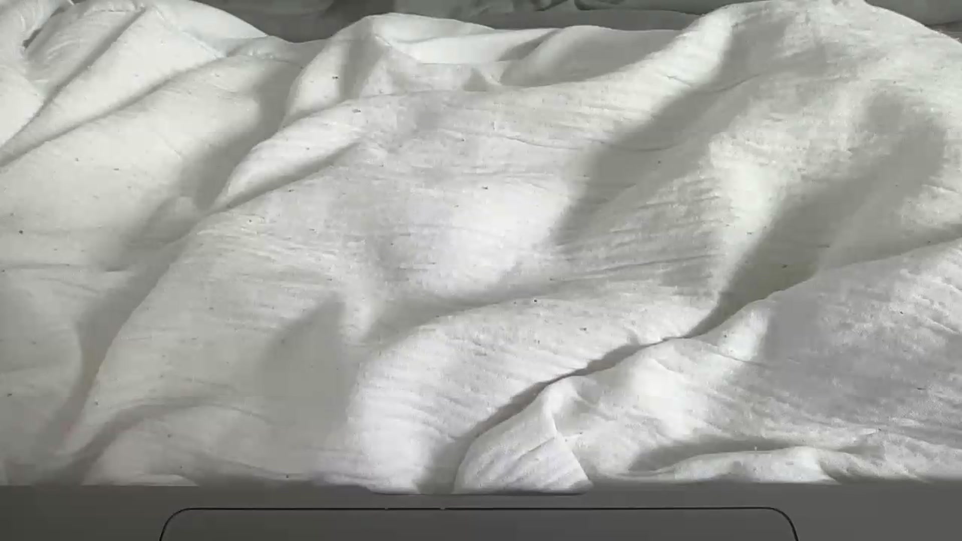 Gallery image thumbnail from Barbxie's myfreecams stream on, 08/19/2026, 14:36 image 15 of 20