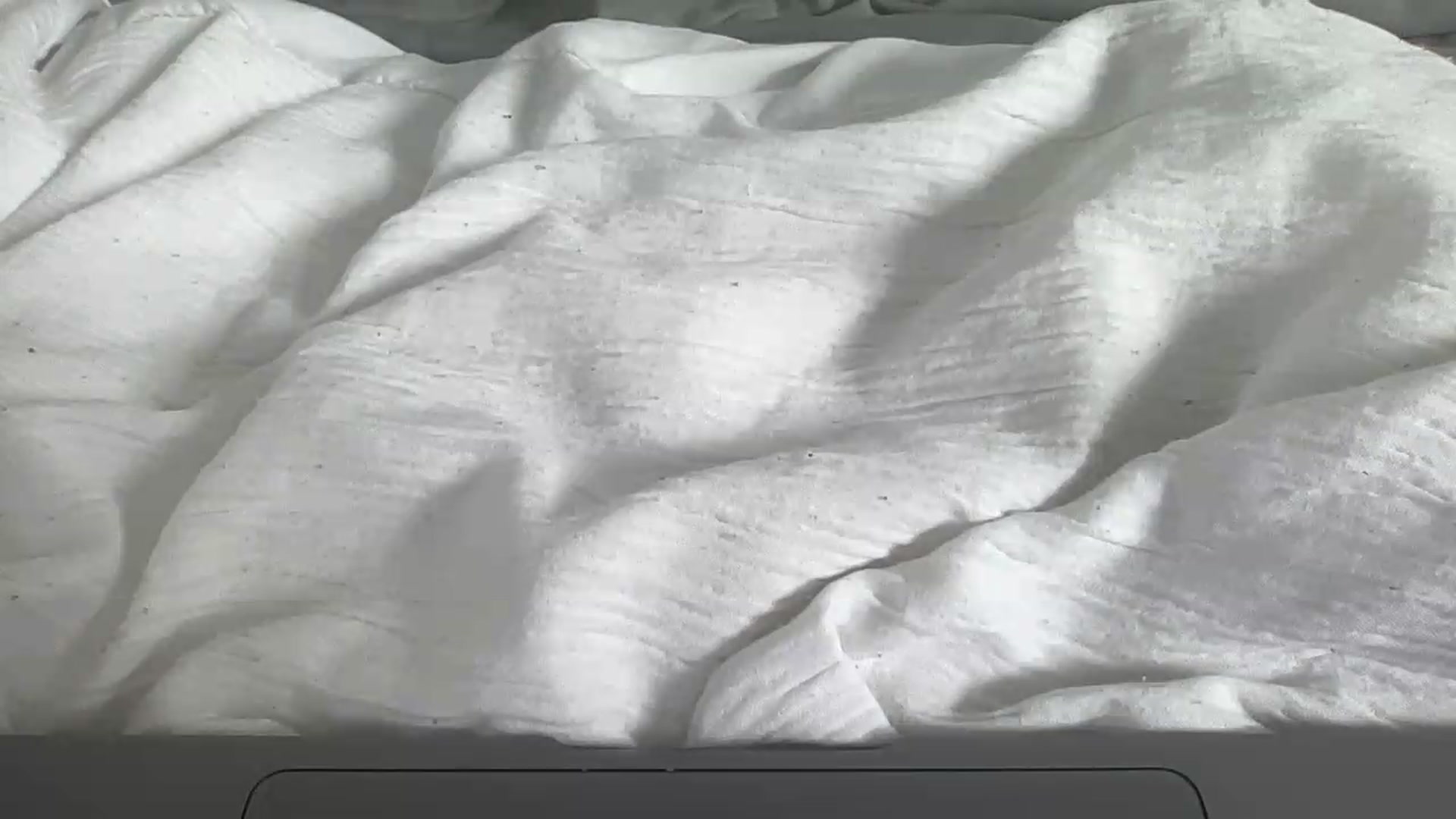 Gallery image thumbnail from Barbxie's myfreecams stream on, 08/19/2026, 14:36 image 17 of 20