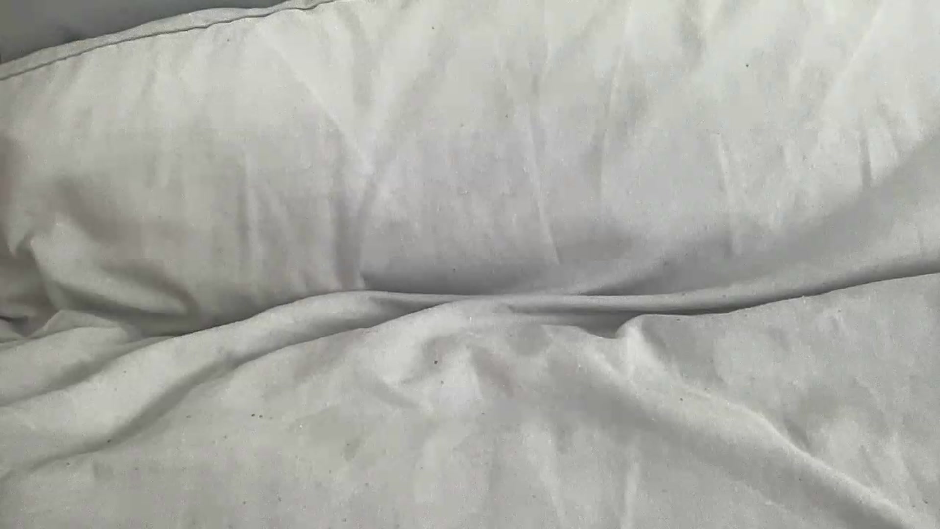 Gallery image thumbnail from Barbxie's myfreecams stream on, 08/28/2026, 14:13 image 15 of 20