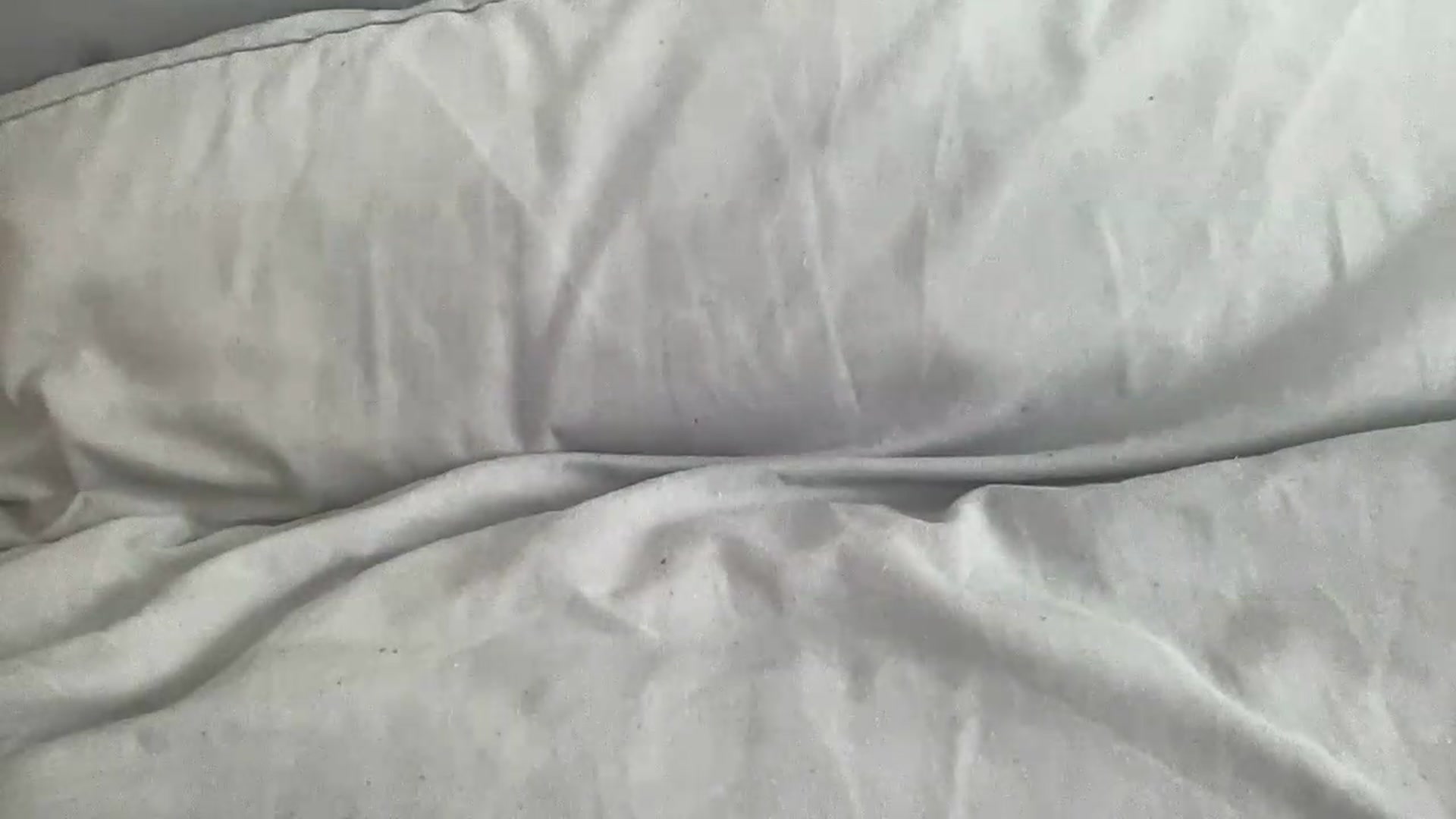 Gallery image thumbnail from Barbxie's myfreecams stream on, 08/28/2026, 14:13 image 14 of 20