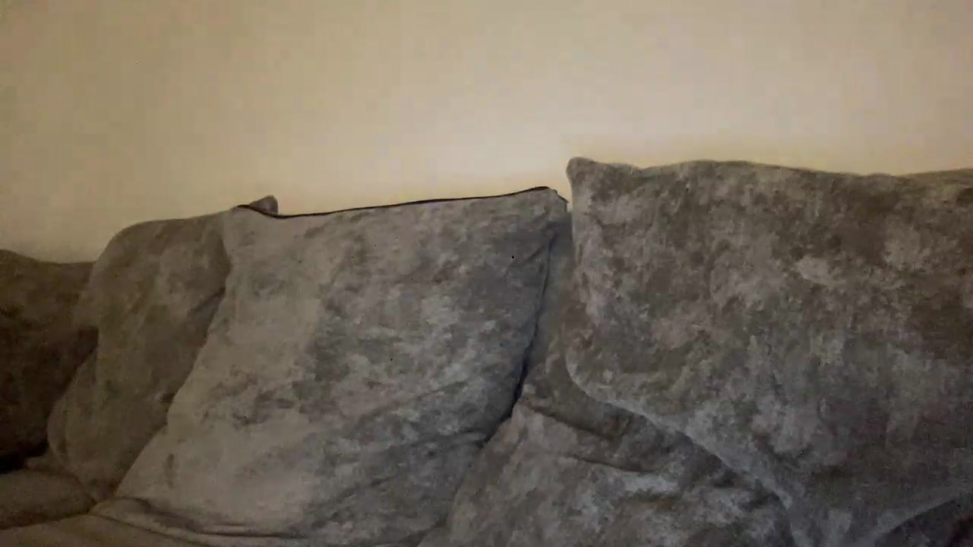 Gallery image thumbnail from Barbxie's myfreecams stream on, 08/28/2026, 23:29 image 14 of 20