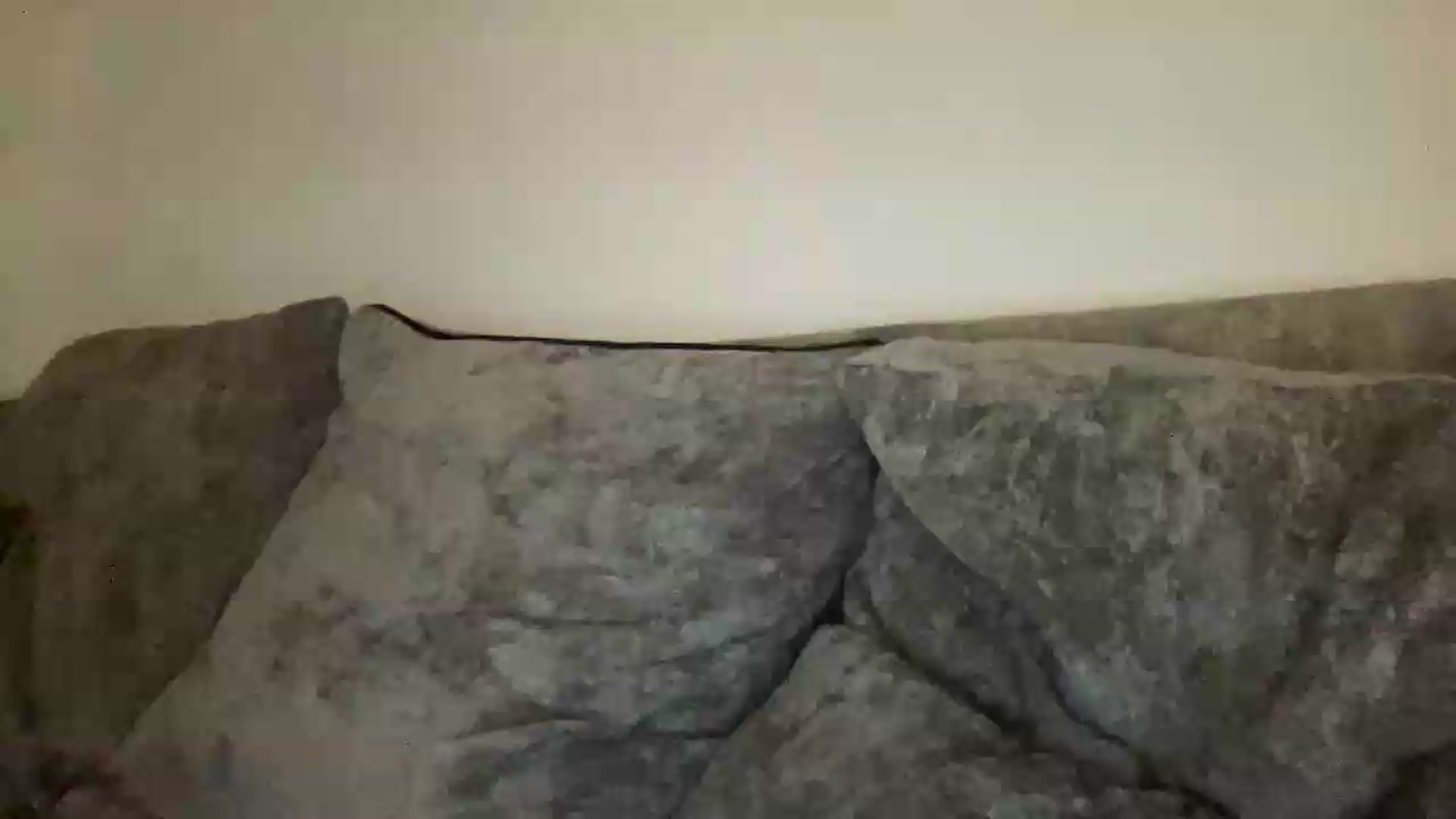 Gallery image thumbnail from Barbxie's myfreecams stream on, 08/29/2026, 24:00 image 1 of 20