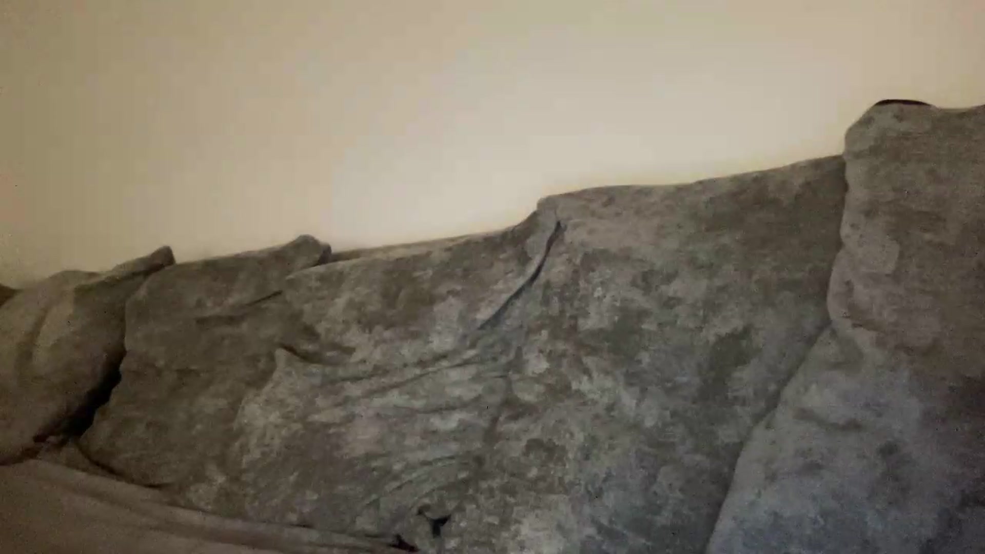 Gallery image thumbnail from Barbxie's myfreecams stream on, 08/30/2026, 21:44 image 14 of 20