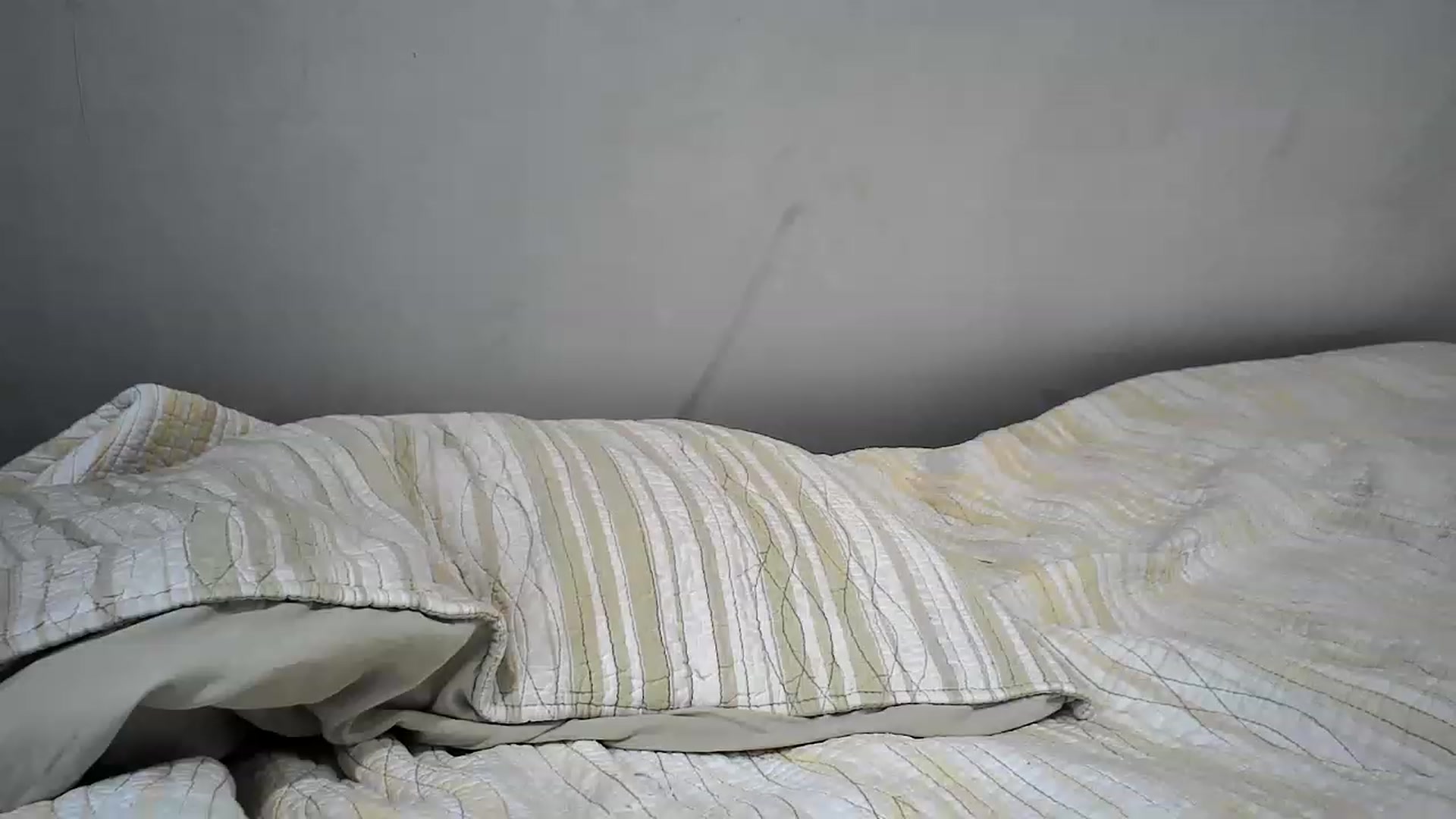 Gallery image thumbnail from Bb_Clover's myfreecams stream on, 02/09/2023, 22:01 image 7 of 20