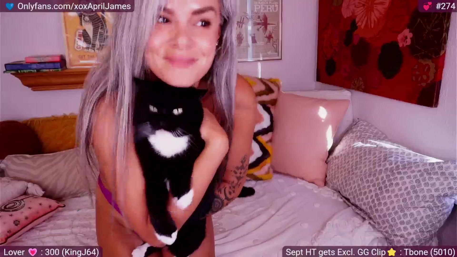 Gallery image thumbnail from BdayApril's myfreecams stream on, 09/15/2025, 24:09 image 12 of 20