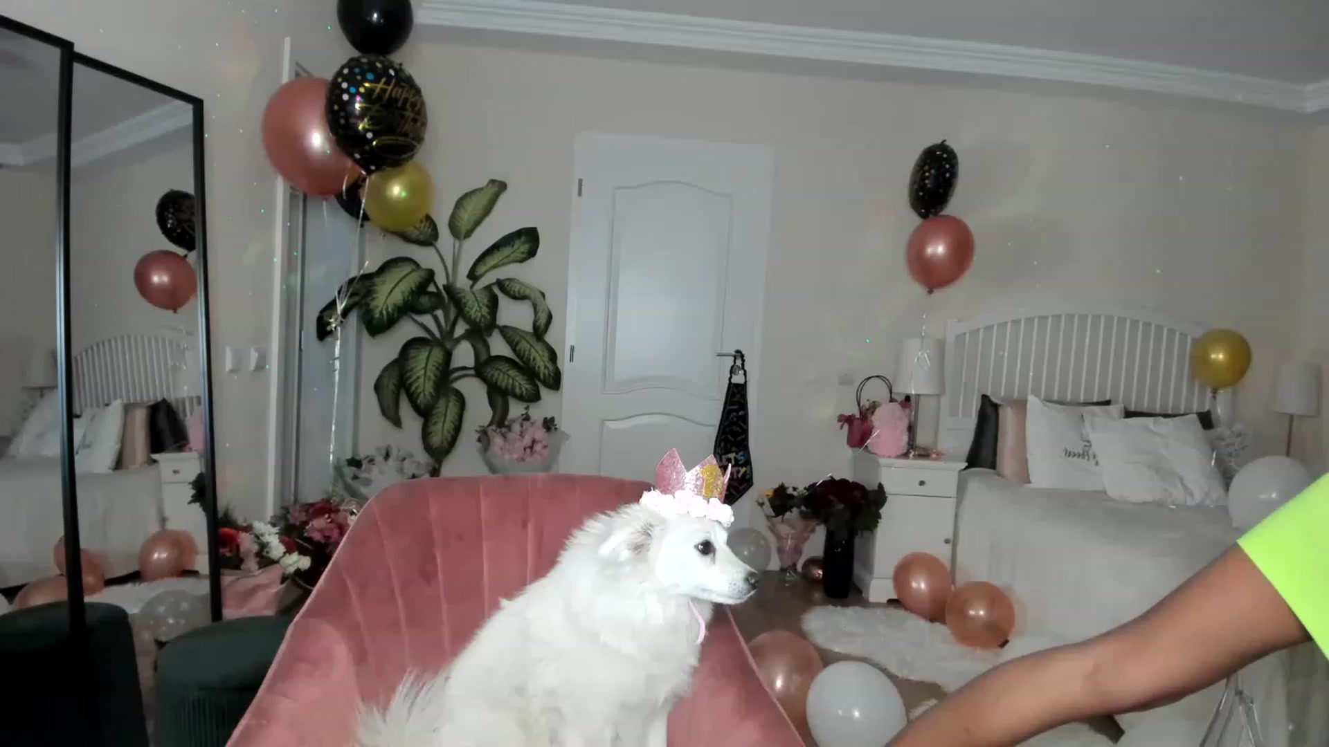 Gallery image thumbnail from BdayBellaa's myfreecams stream on, 04/01/2023, 22:02 image 4 of 20