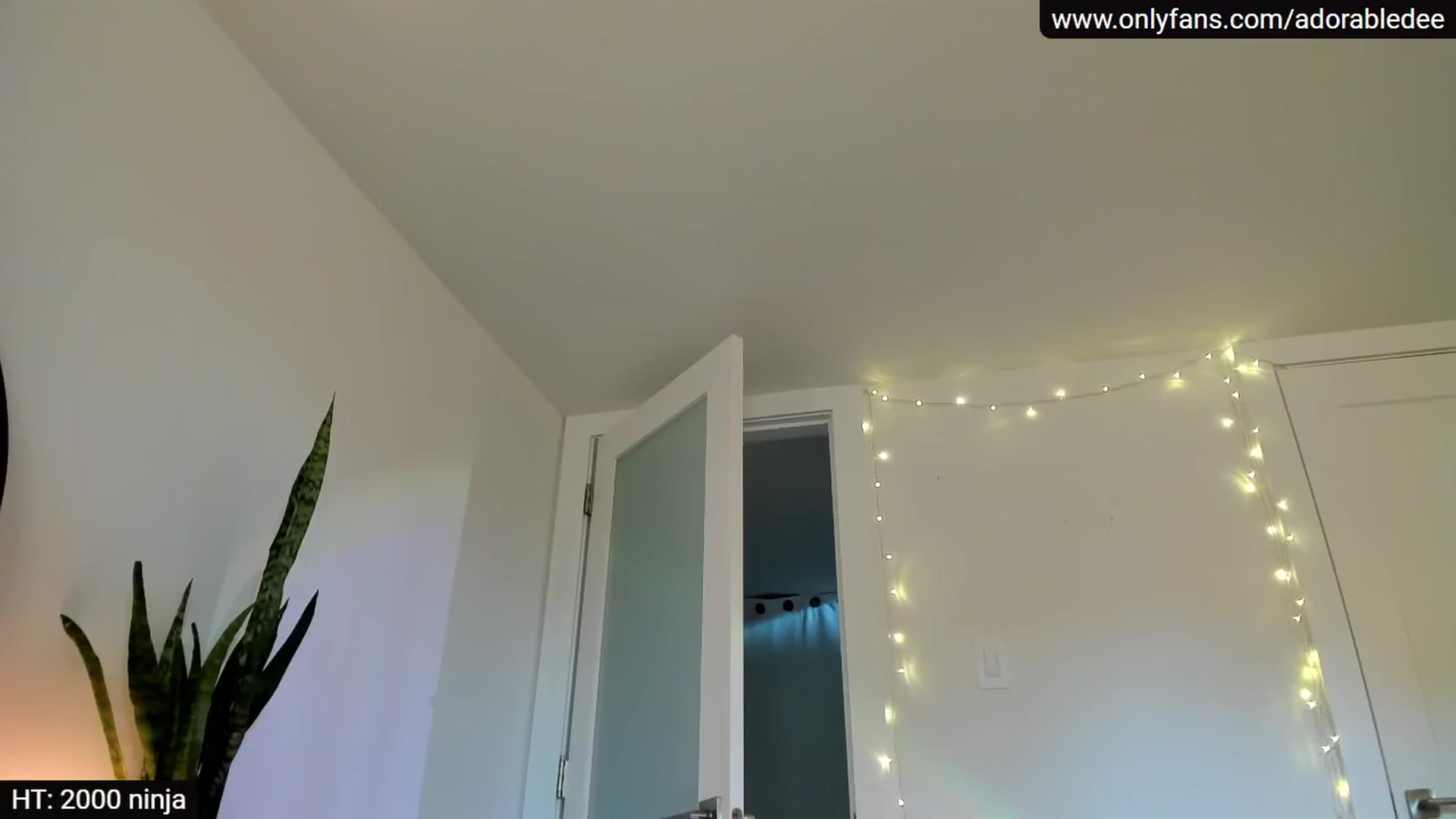 Gallery image thumbnail from BdayDee's myfreecams stream on, 09/13/2024, 24:12 image 13 of 20