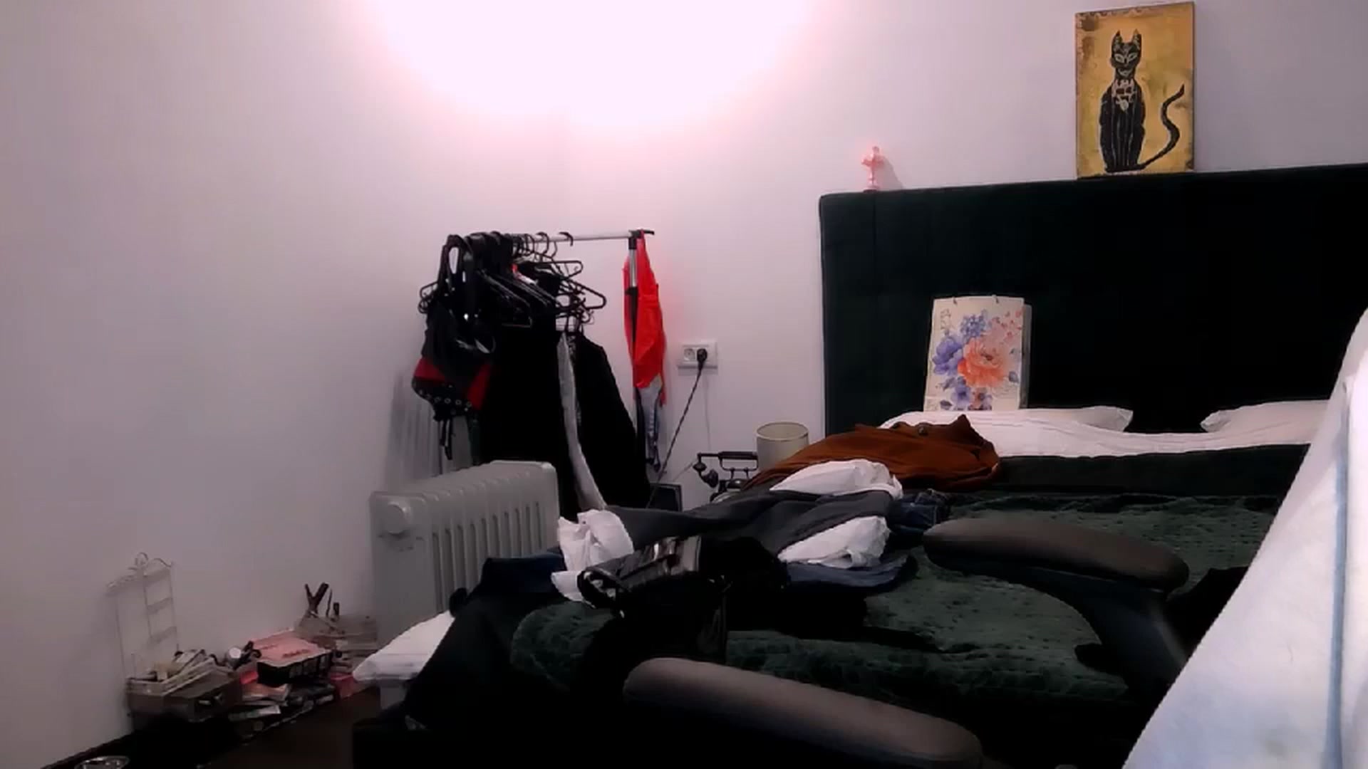 Gallery image thumbnail from BdayElectra's myfreecams stream on, 10/30/2024, 24:03 image 5 of 20