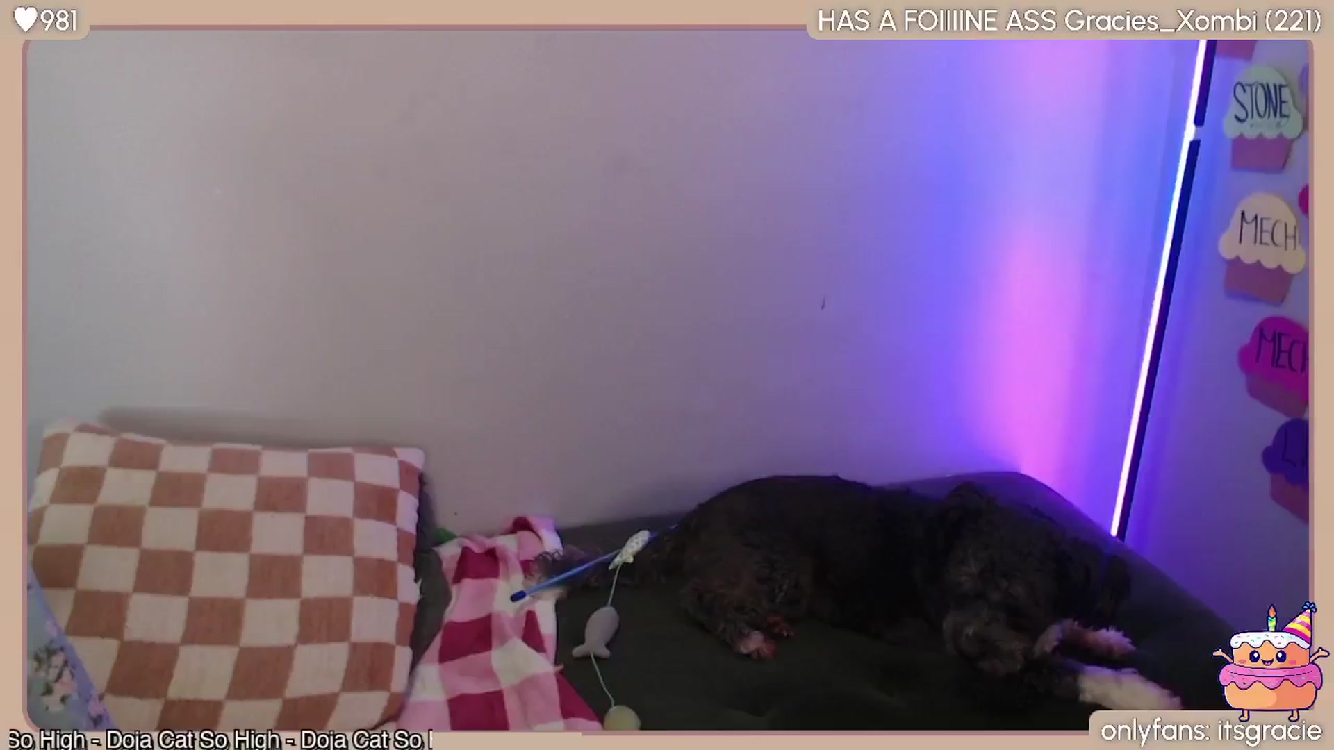 Gallery image thumbnail from BdayGracie's myfreecams stream on, 06/24/2024, 24:40 image 1 of 20