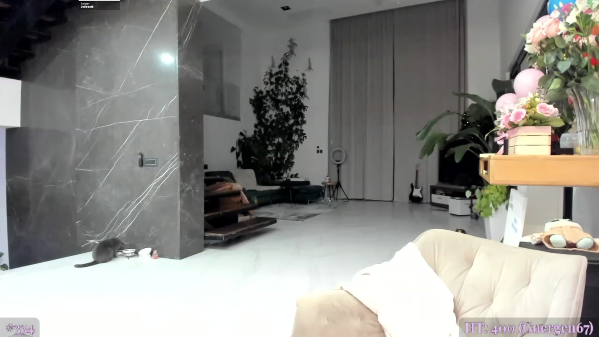 Gallery image thumbnail from BdayJolie's myfreecams stream on, 01/15/2024, 24:00 image 8 of 20