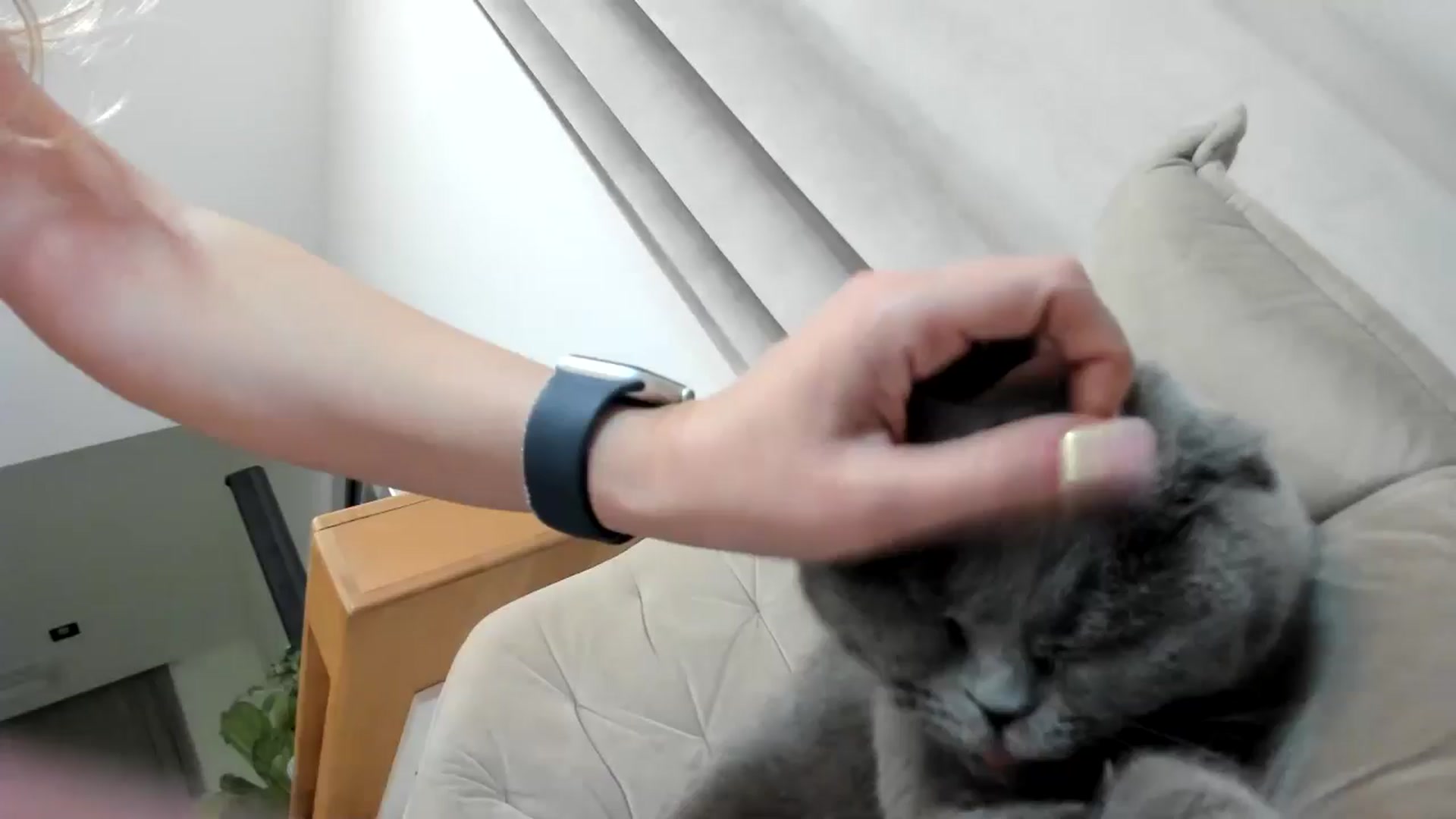 Gallery image thumbnail from BdayJolie's myfreecams stream on, 02/05/2026, 02:48 image 17 of 20