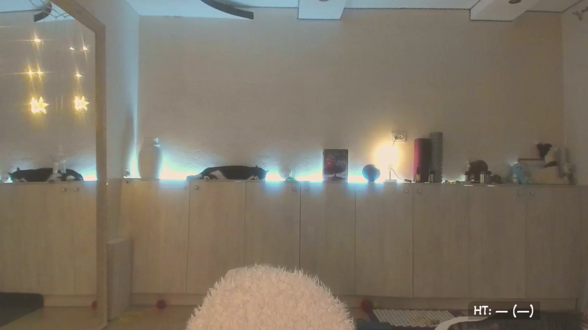Gallery image thumbnail from BdayK's myfreecams stream on, 08/02/2025, 02:10 image 2 of 20