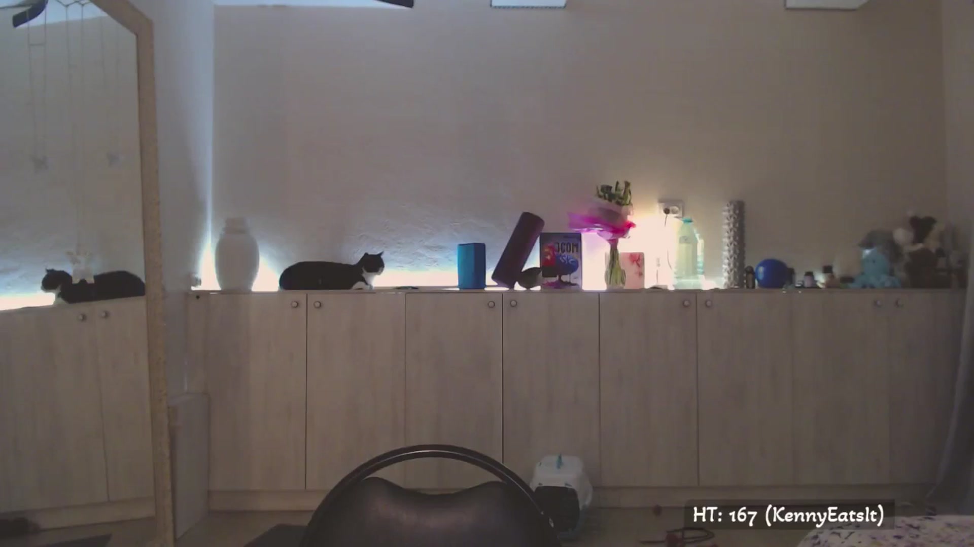 Gallery image thumbnail from BdayK's myfreecams stream on, 08/11/2025, 02:00 image 5 of 20