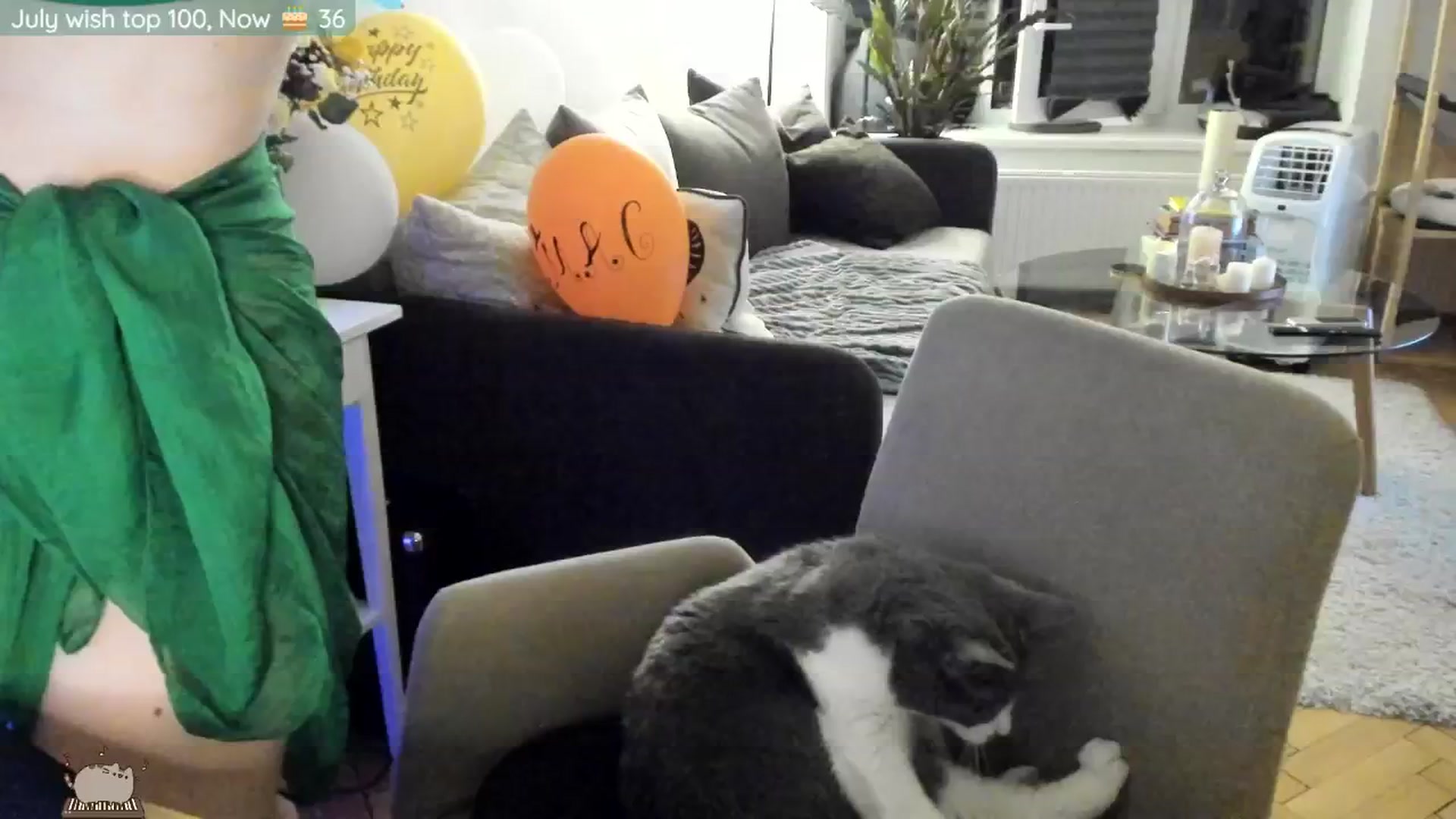 Gallery image thumbnail from BdayMaddie's myfreecams stream on, 07/16/2024, 24:55 image 16 of 20