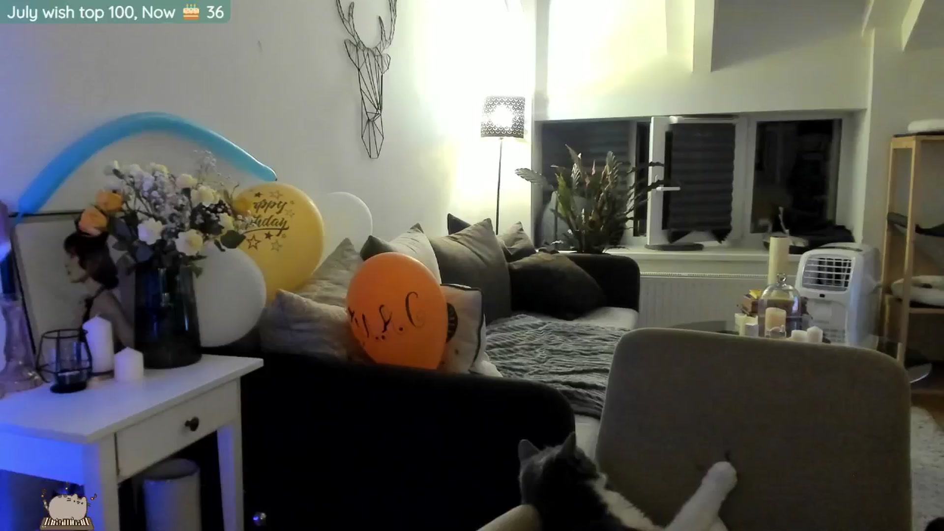 Gallery image thumbnail from BdayMaddie's myfreecams stream on, 07/16/2024, 24:55 image 17 of 20