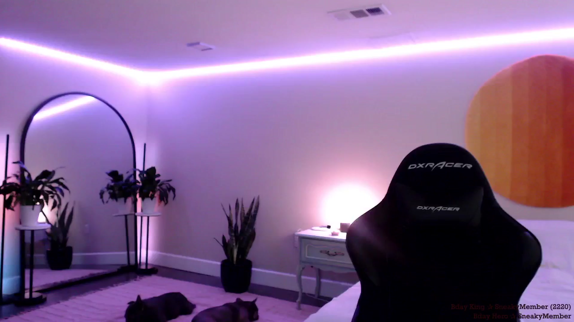 Gallery image thumbnail from BdayMarie's myfreecams stream on, 10/11/2024, 24:01 image 13 of 20