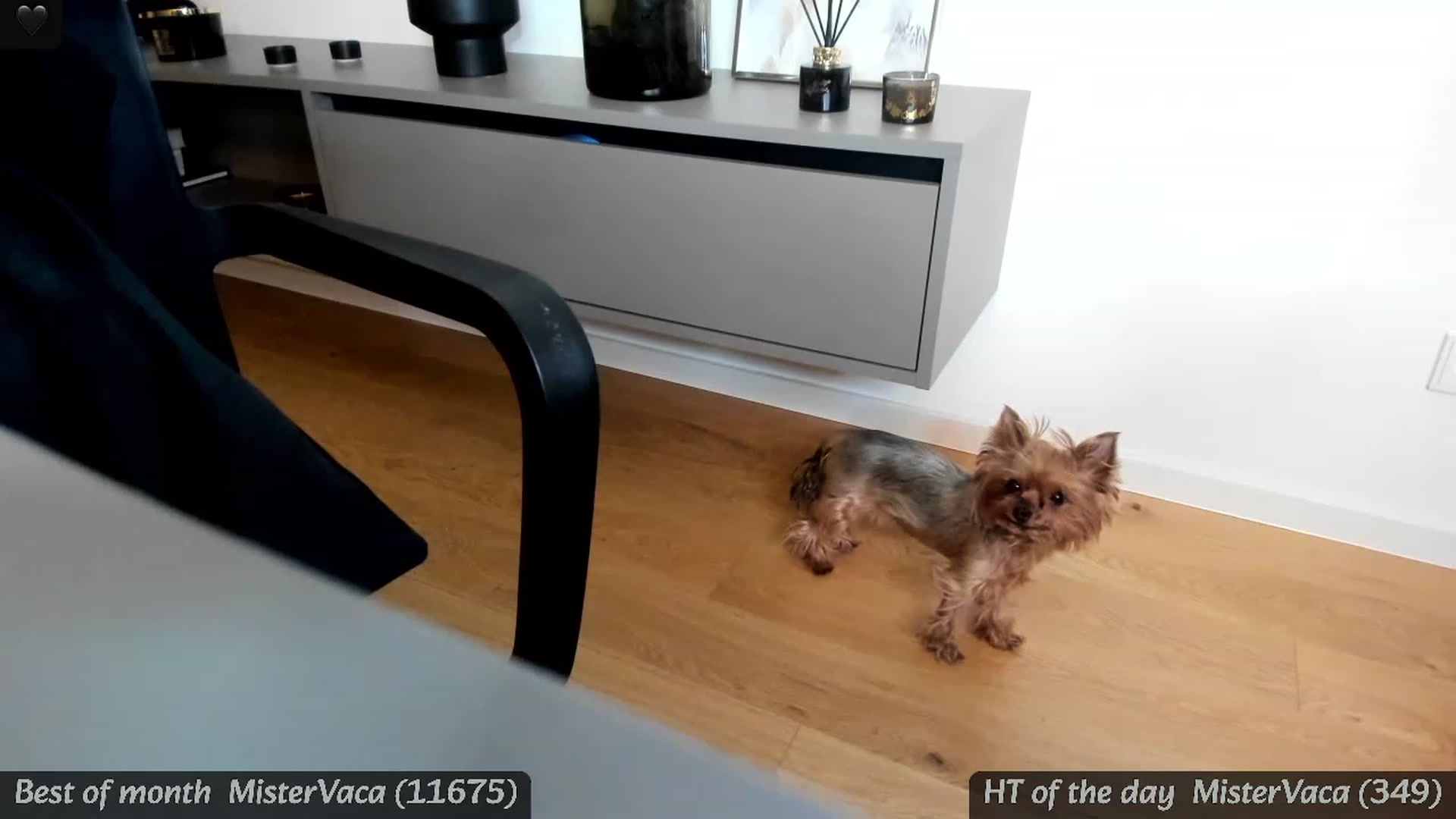 Gallery image thumbnail from BdayMi_Ha's myfreecams stream on, 01/17/2024, 15:56 image 3 of 20